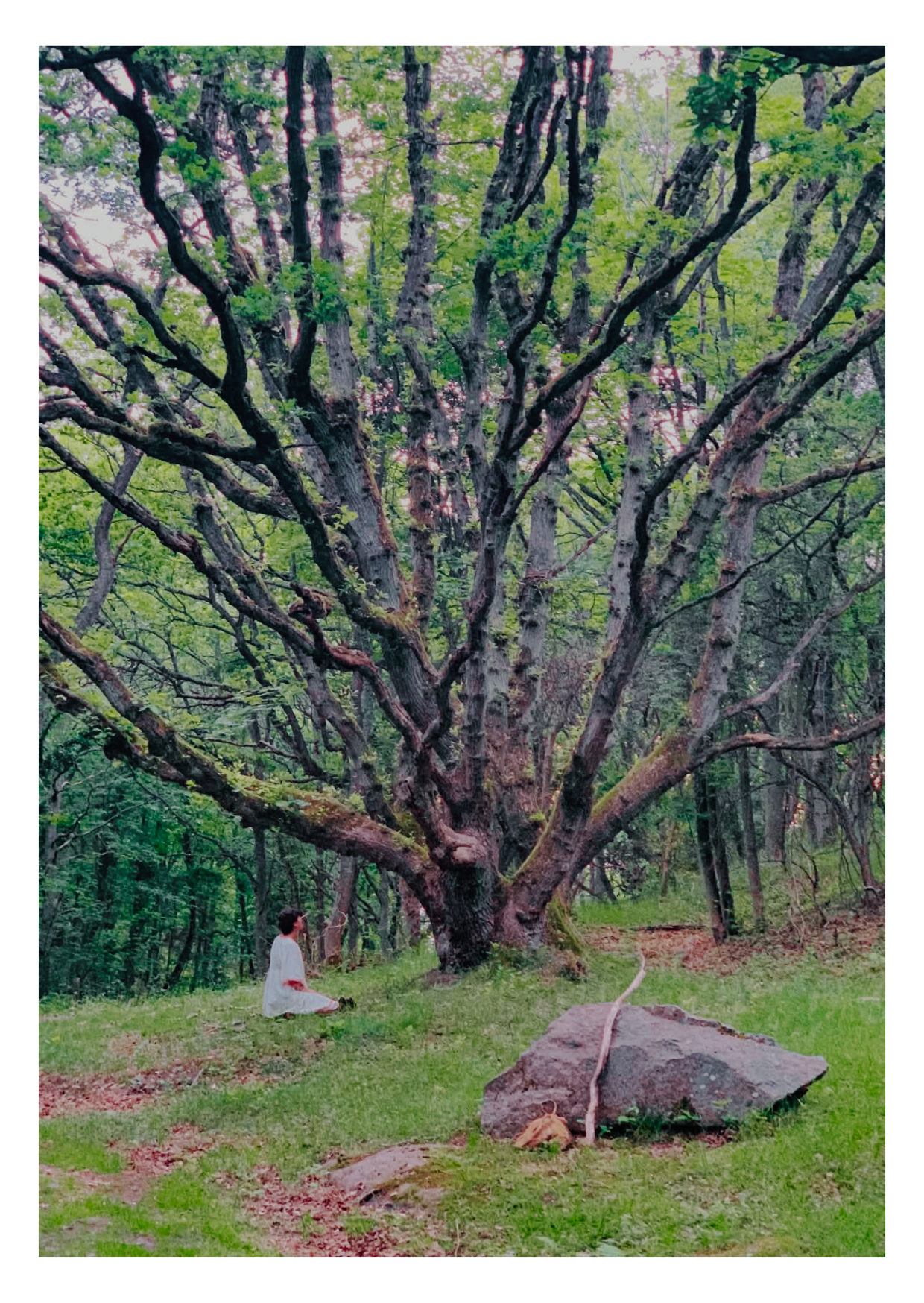 Alone She Sat Outside (Summer Solstice Ceremony & Night Sitout)