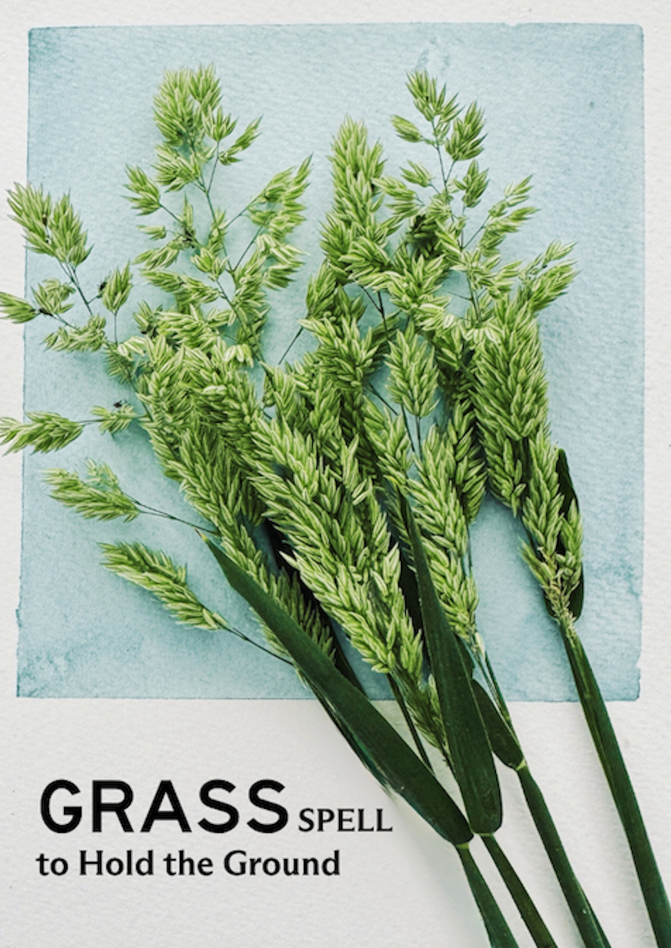 grass.png