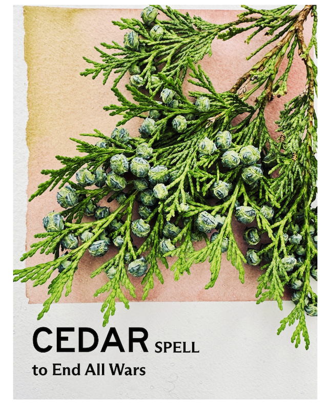 cedar.png