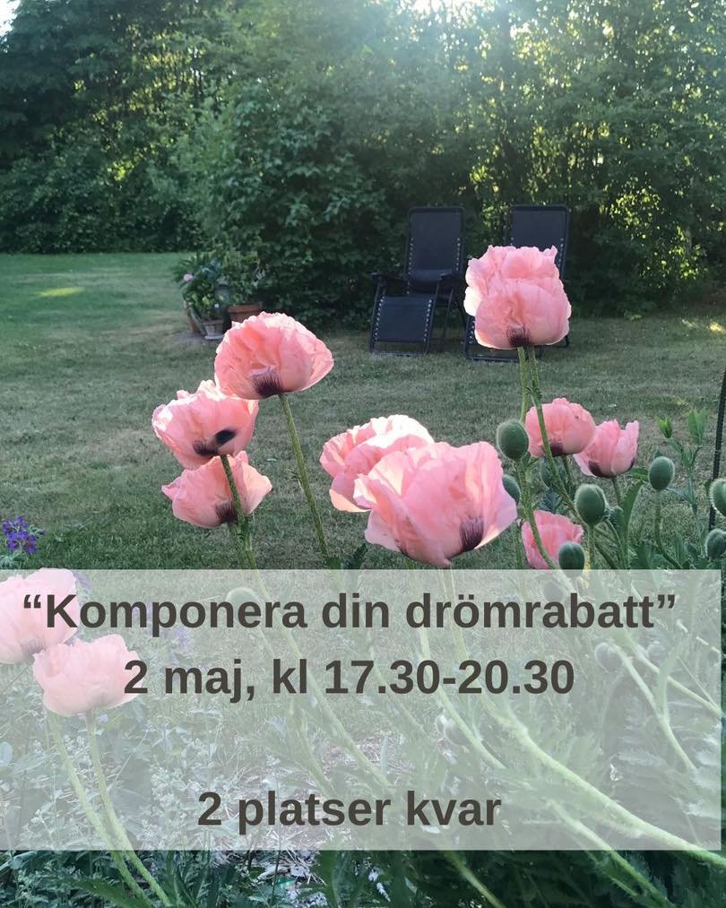 2 platser kvar p&aring; kursen Komponera din dr&ouml;mrabatt 2 maj kl 17.30-20.30. En rabatt &auml;r mer &auml;n bara blommor och p&aring; kursen g&aring;r vi igenom det mesta f&ouml;r hur man planerar en rabatt med v&auml;xter som trivs och &auml;r 