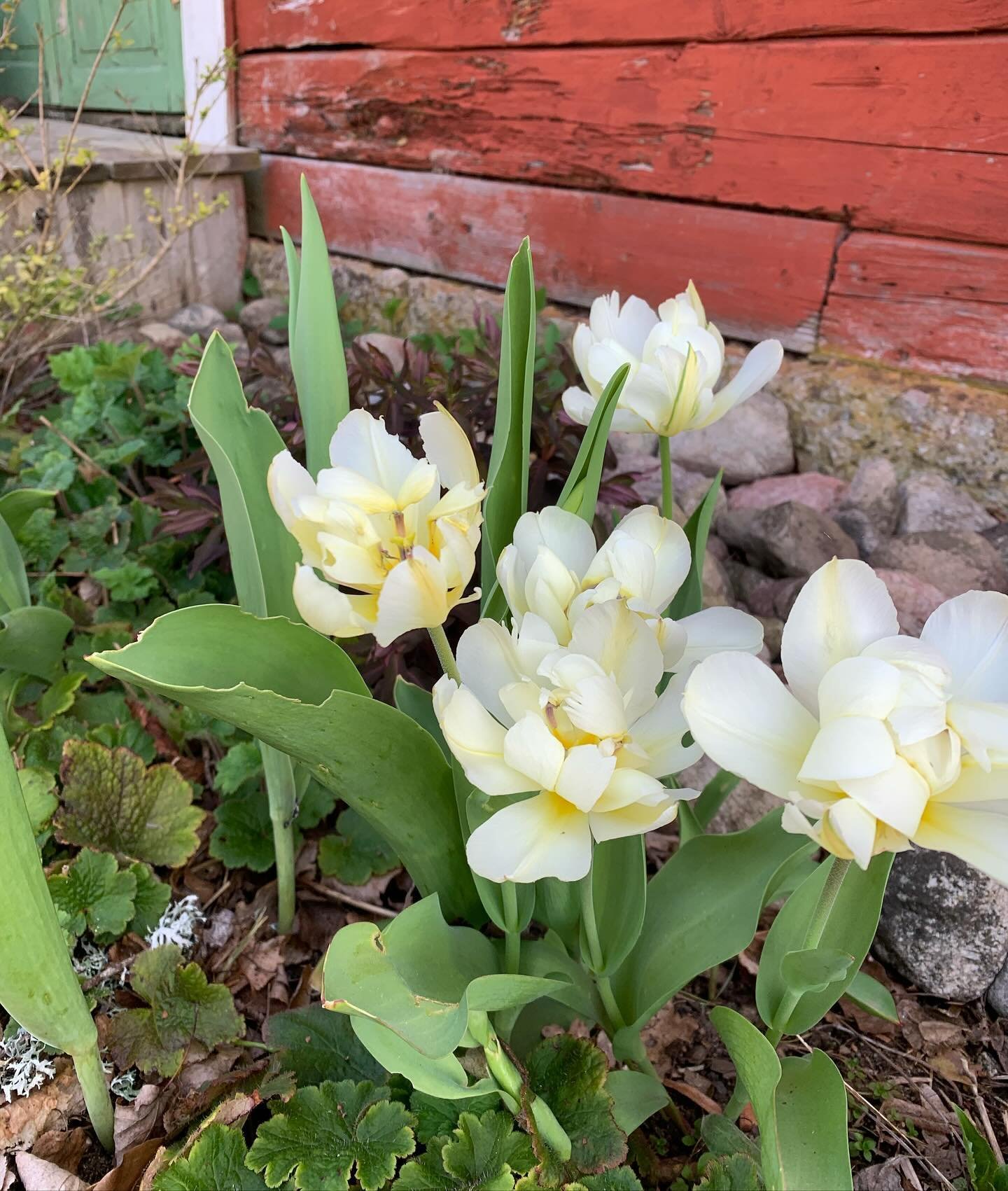 S&aring; himla glad och tacksam! Kursdeltagarna p&aring; min senaste kurs och flera av tr&auml;dg&aring;rdskonsultationerna p&aring; sistone har kommit till f&ouml;r att ni mina fina kunder har rekommenderat Spira vidare. Och det k&auml;nns lika fant