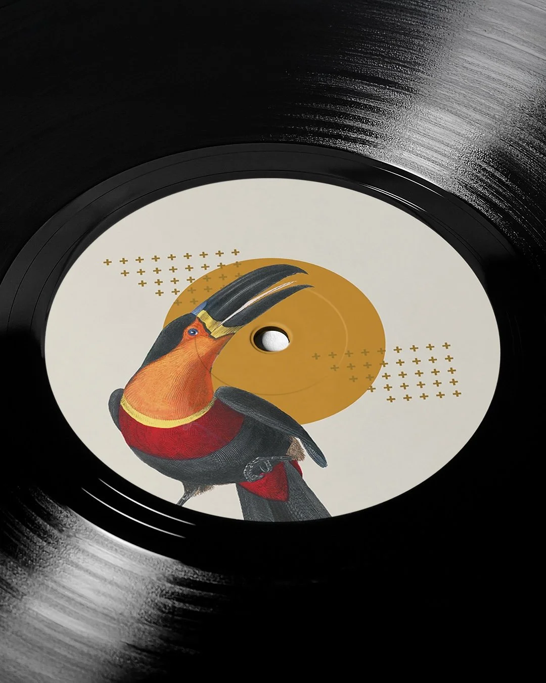 Vinyl D.jpg