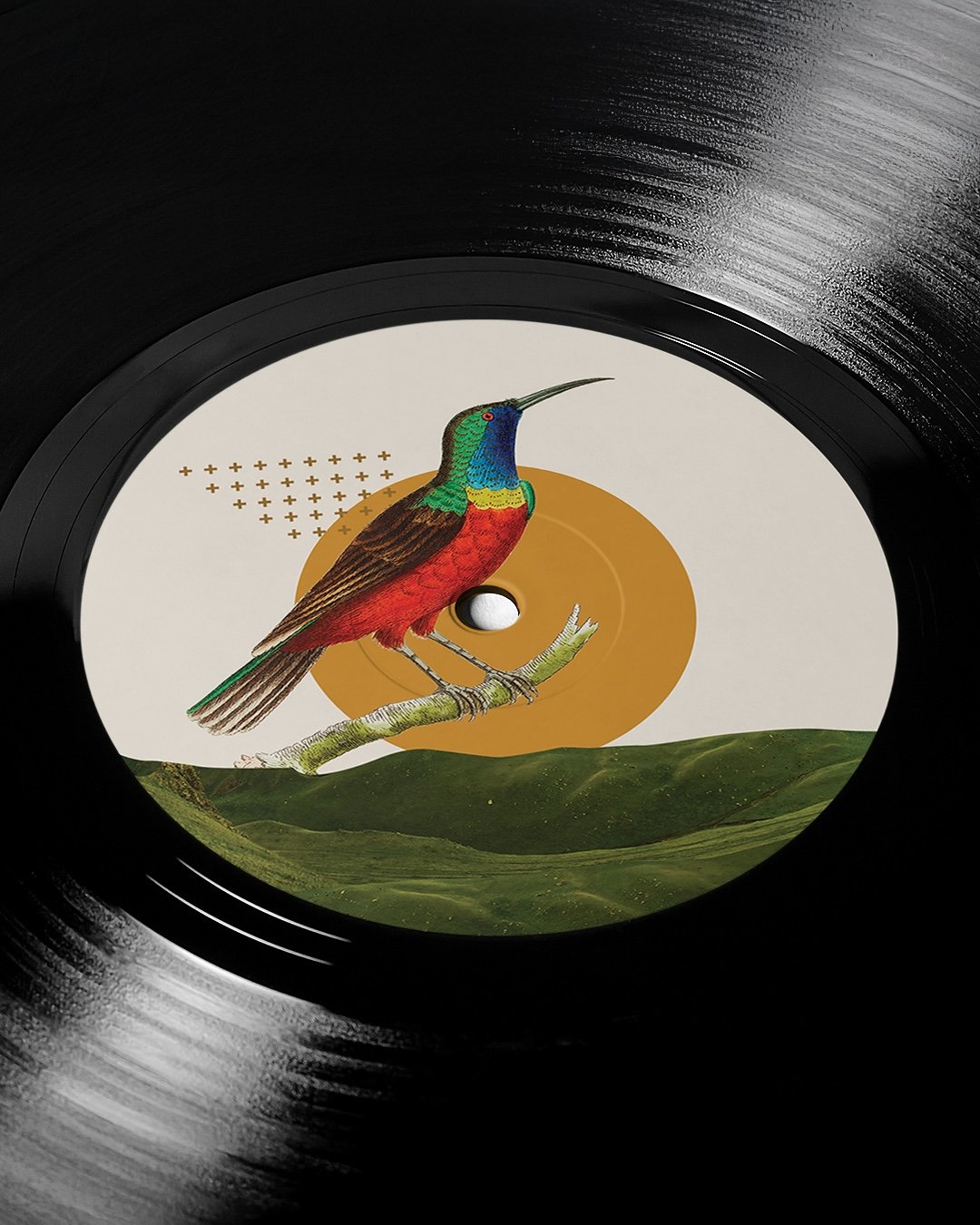 Vinyl D.jpg
