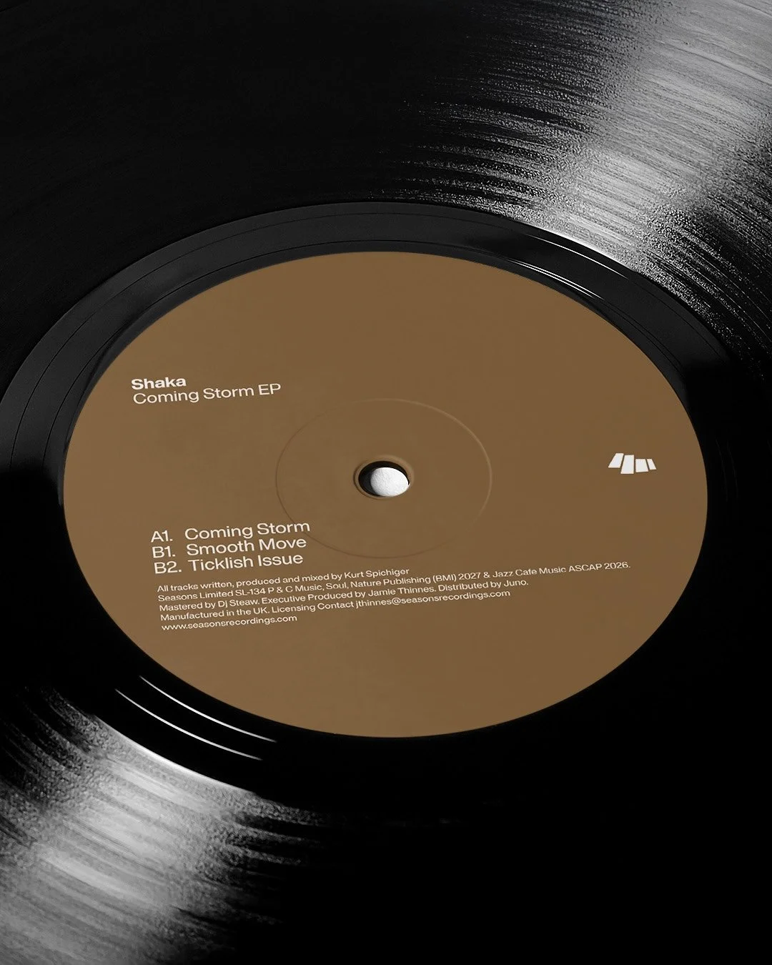 Vinyl C.jpg