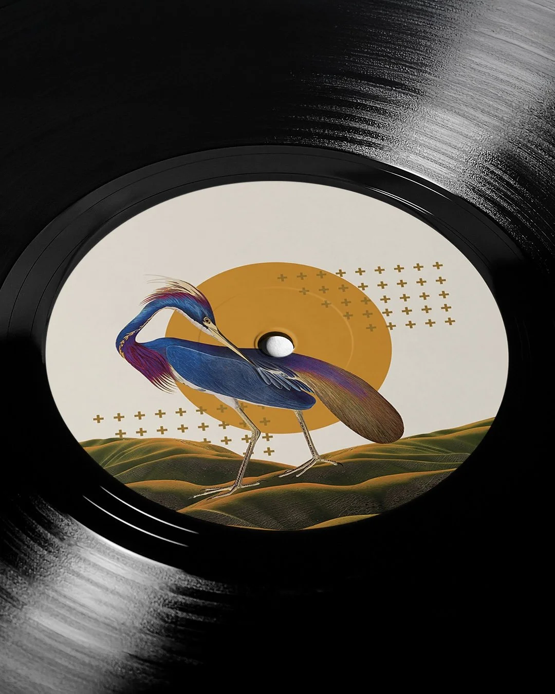 Vinyl D.jpg