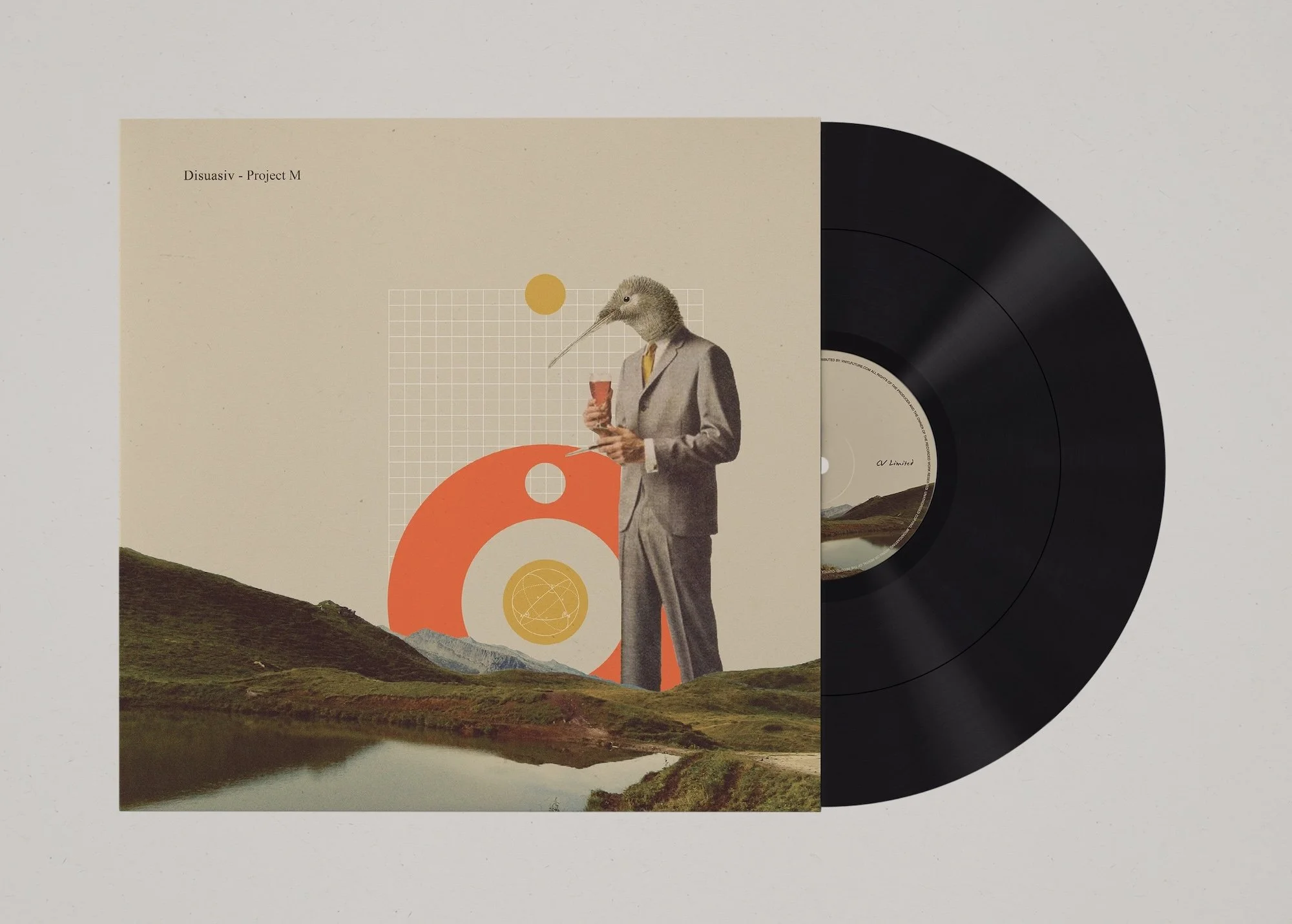 all+in+one_Vinyl+Mock-up.jpg