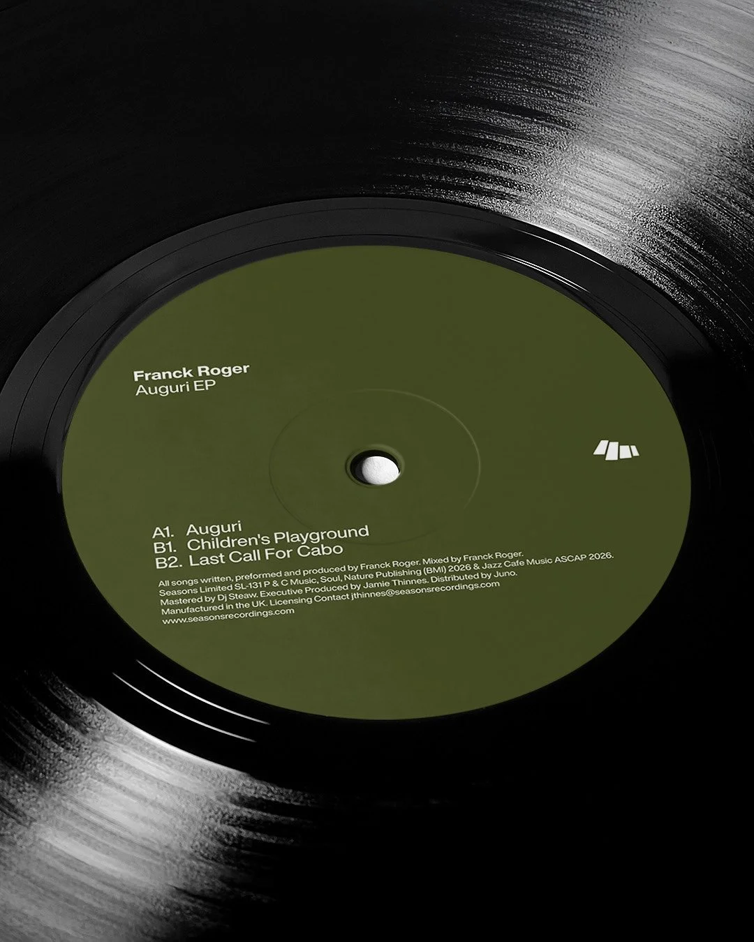Vinyl C.jpg