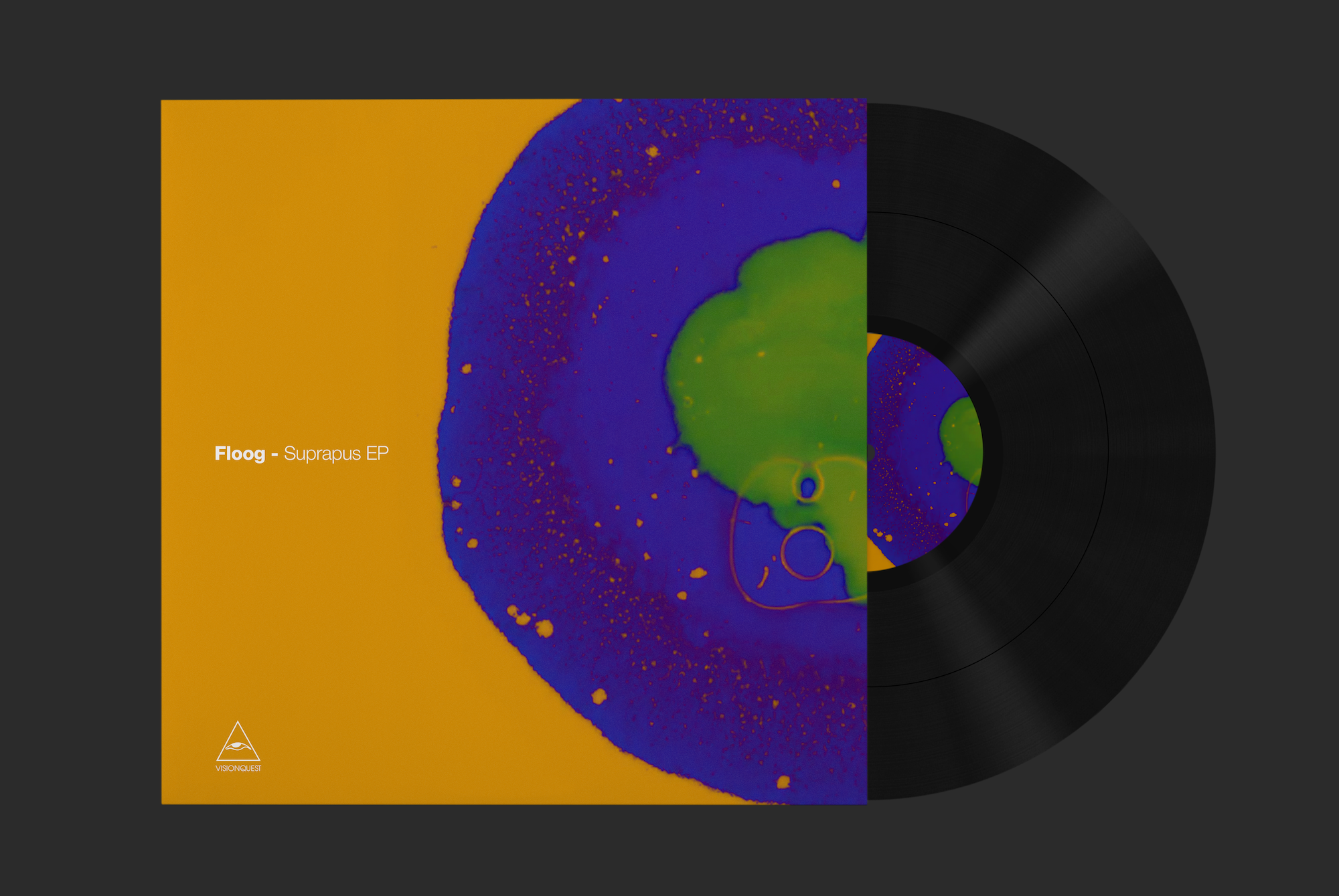 all in one_Vinyl Mock-up.png
