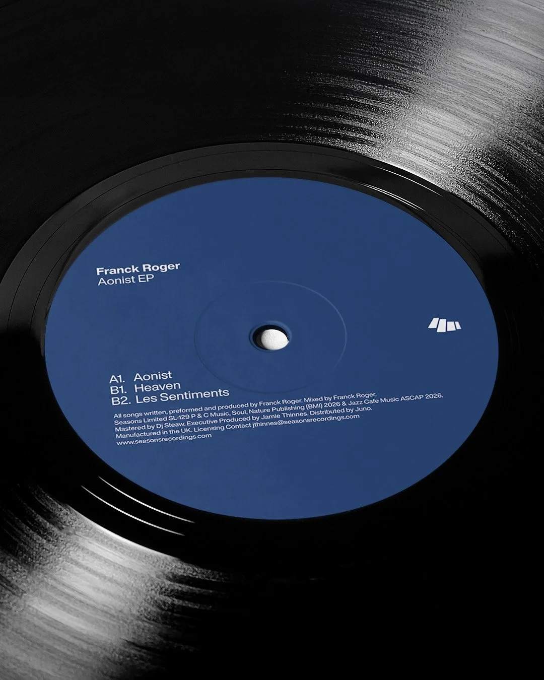 Vinyl C.jpg