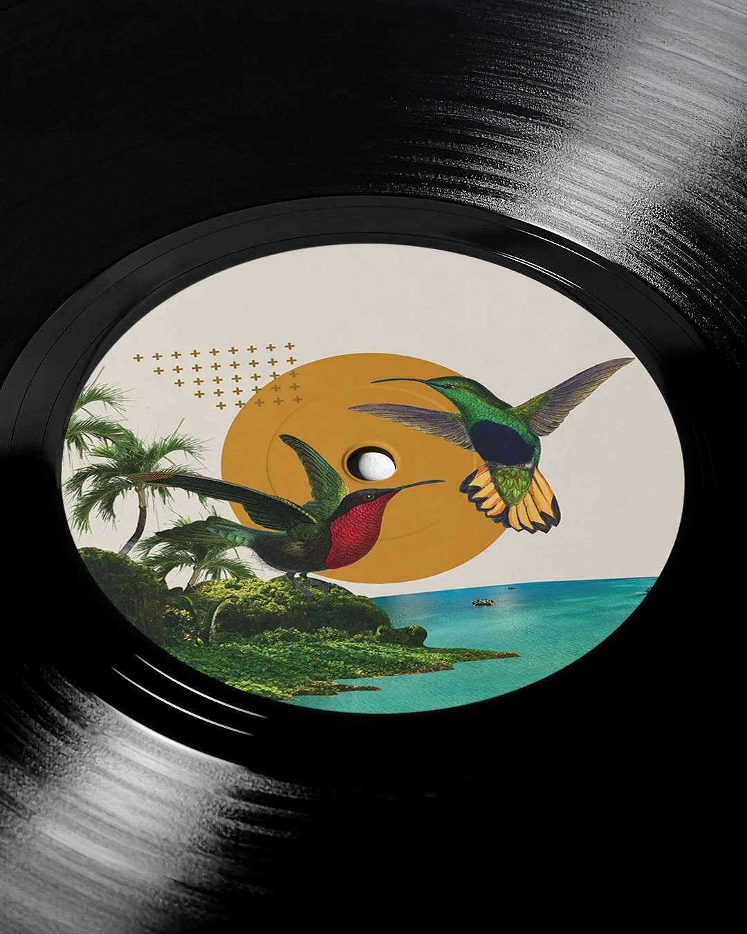 Vinyl D.jpg