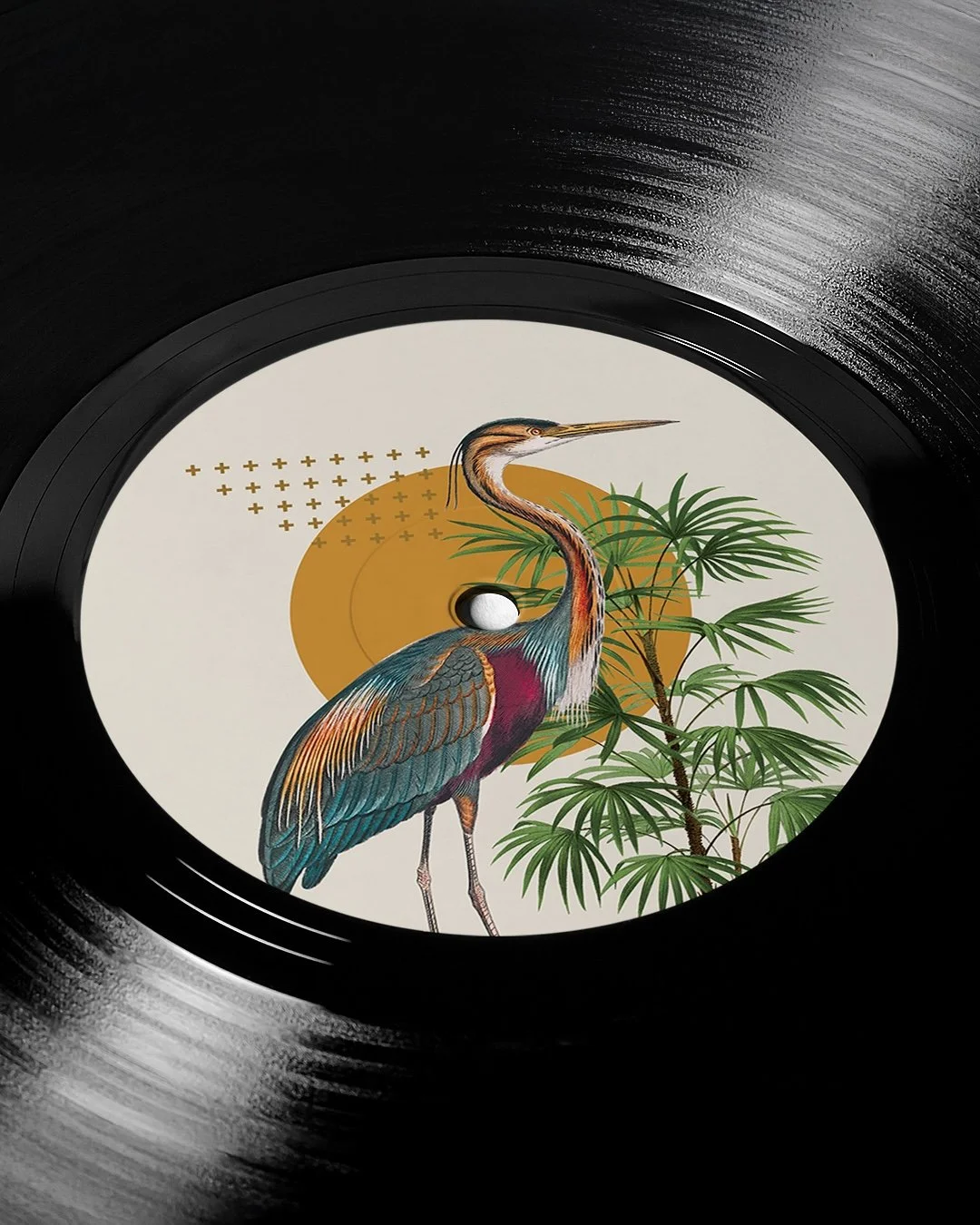 Vinyl D.jpg