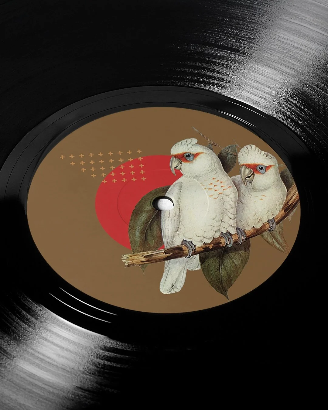 Vinyl D.jpg