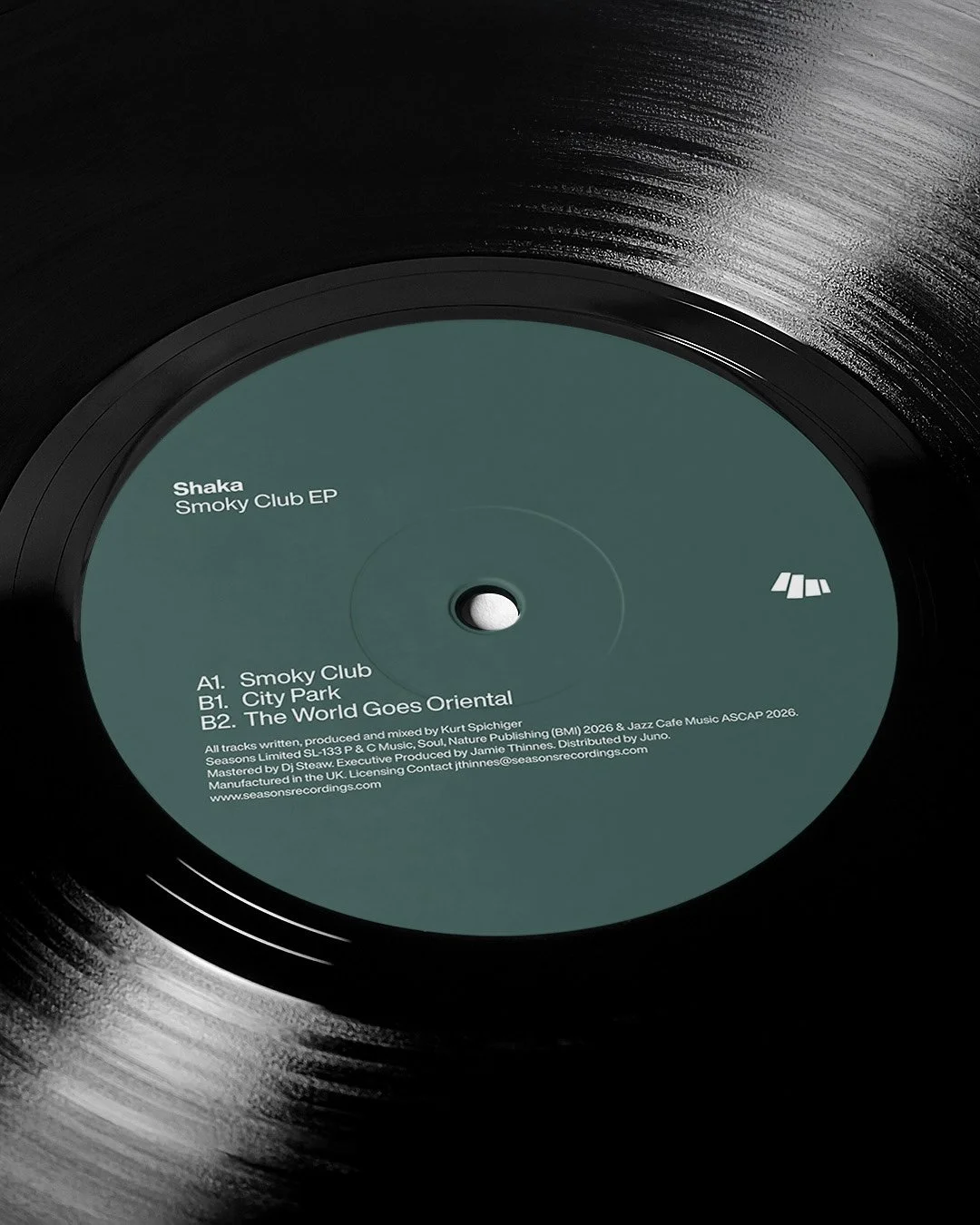 Vinyl C.jpg