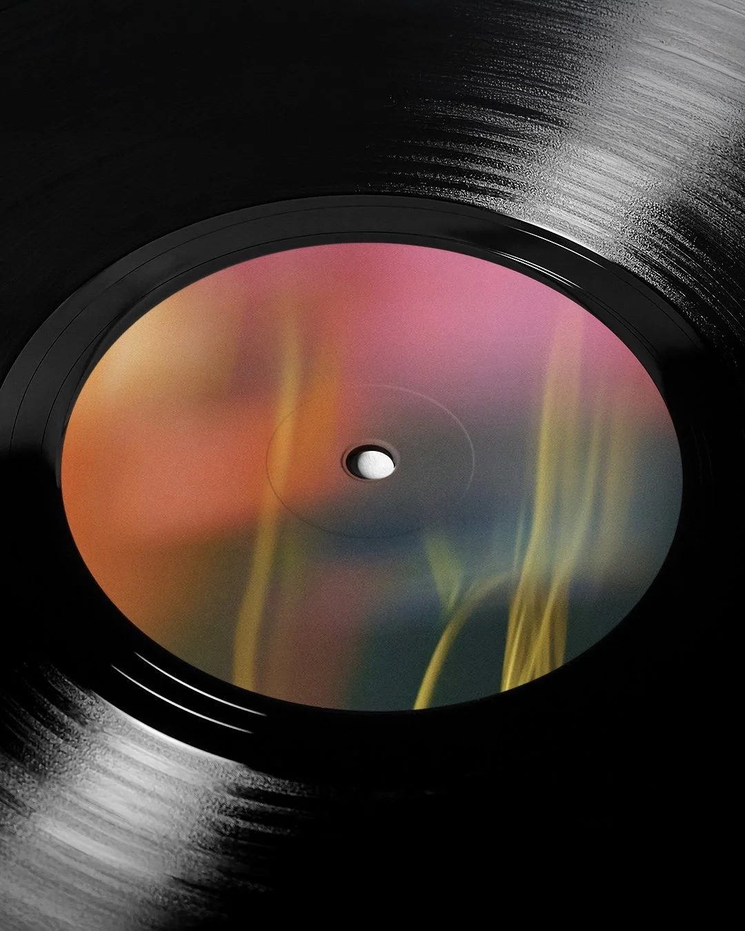 Vinyl D.jpg