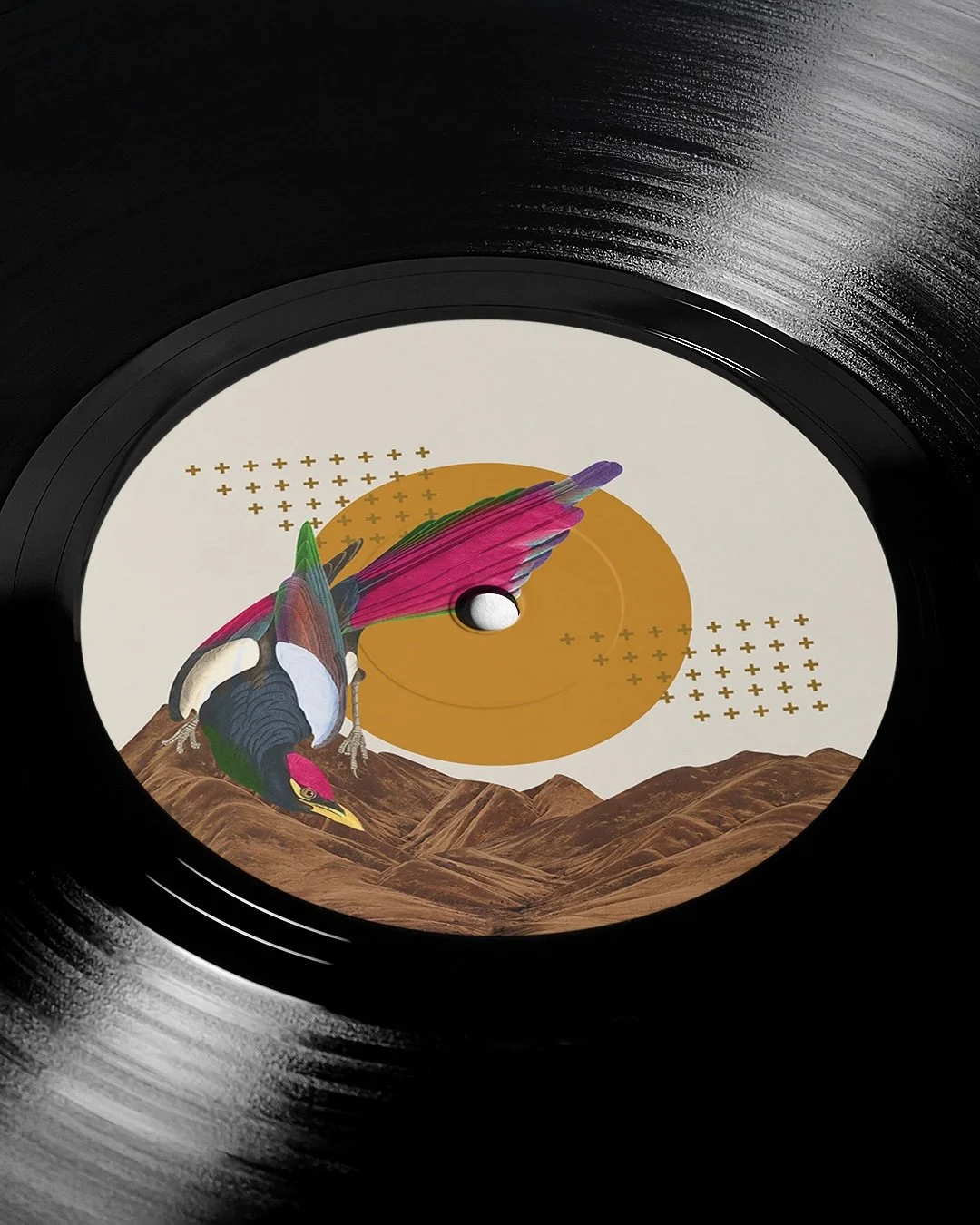 Vinyl D.jpg