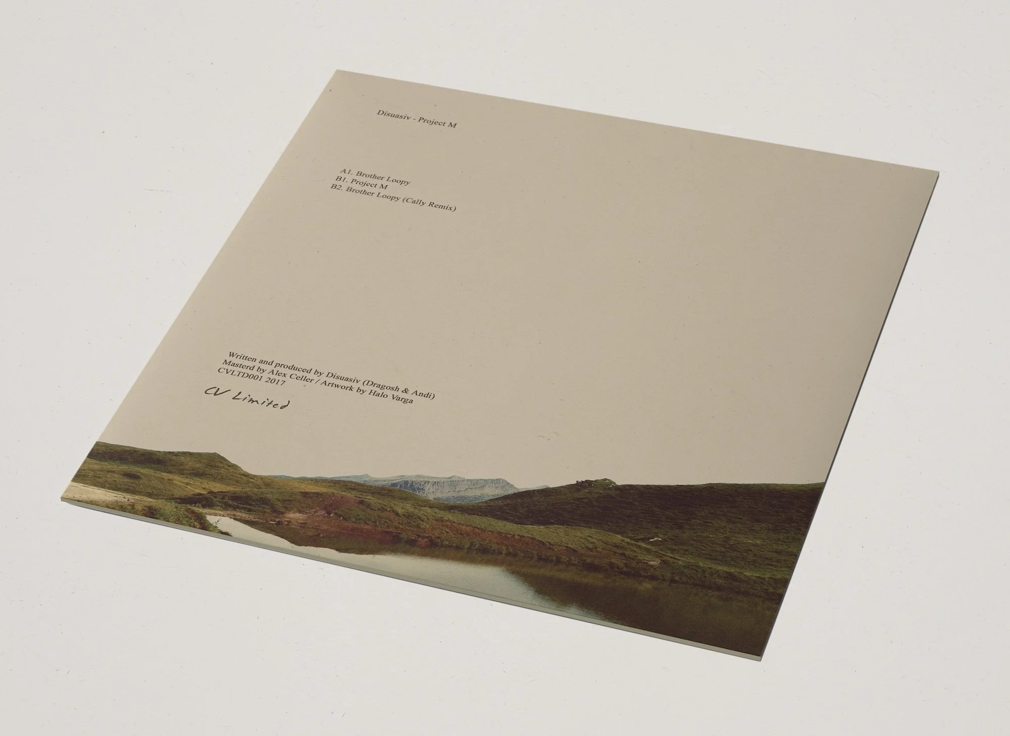 all+in+one_Vinyl+Mock-up4.jpg