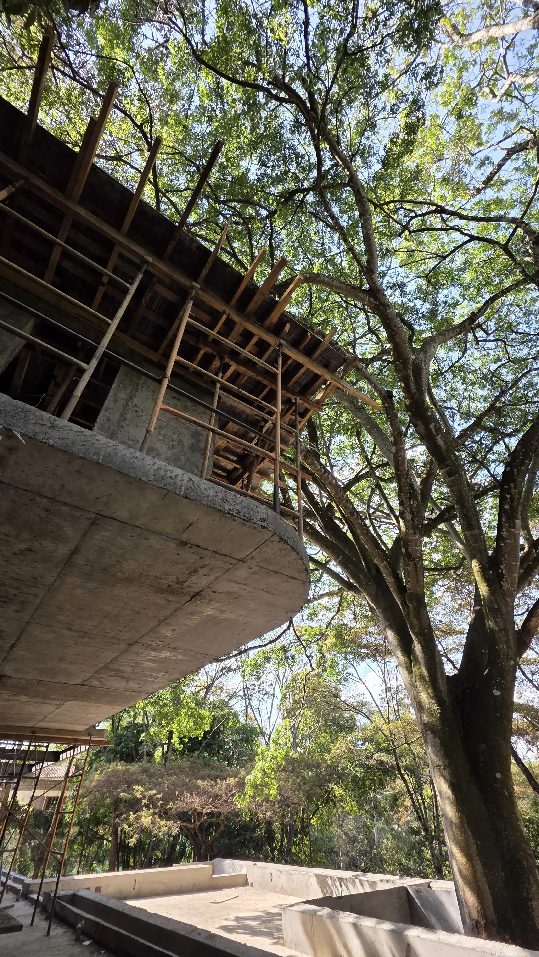 MASTER OVERHANG.webp