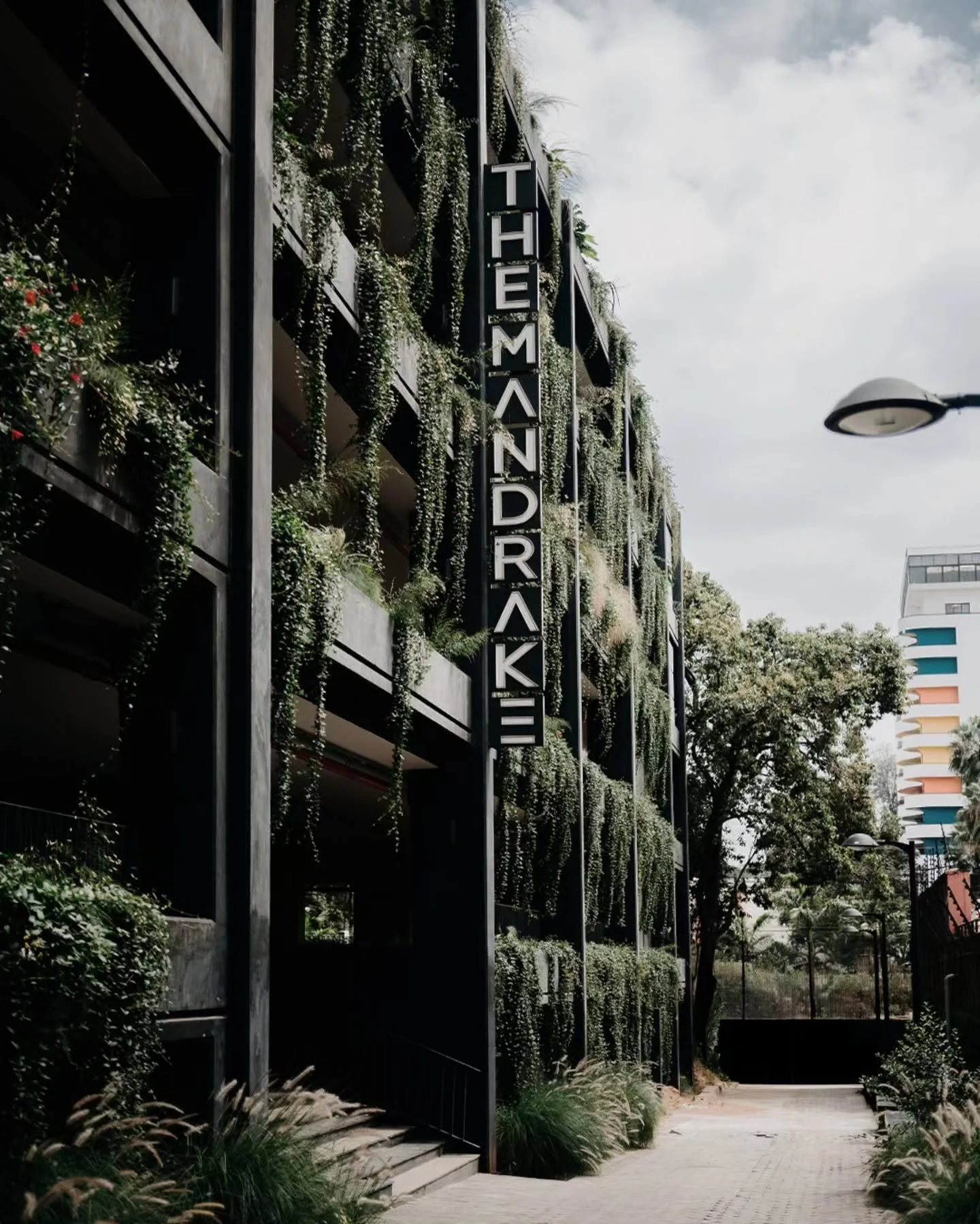 We are thrilled to announce that&nbsp;The Mandrake - In Collaboration with Object Subject Architecture &nbsp;has been honored with the&nbsp;Opal 2025 Award for Architectural Design. This recognition is a testament to the collaborative effort of every