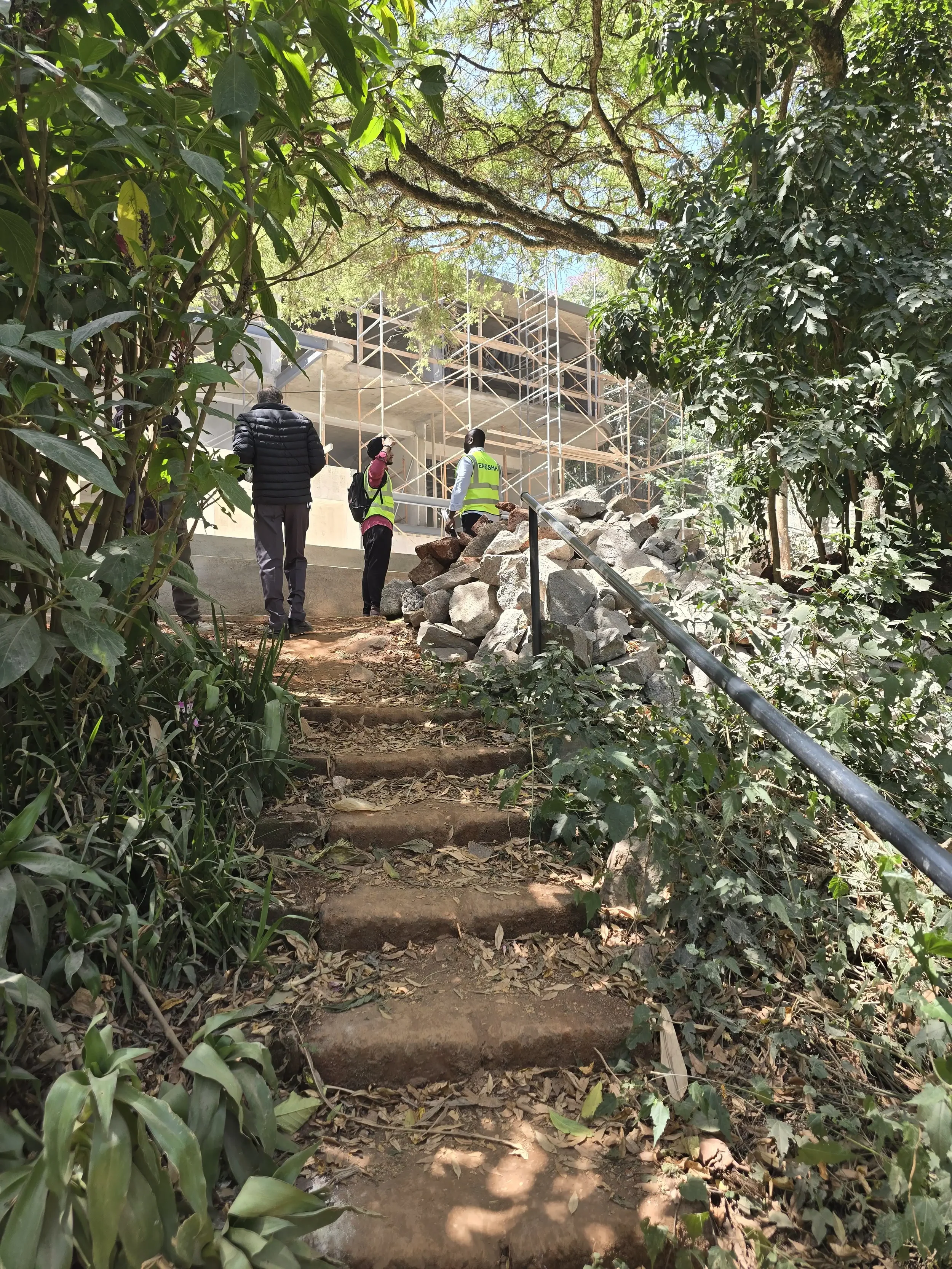 BUILDING WITH LANDSCAPE.webp