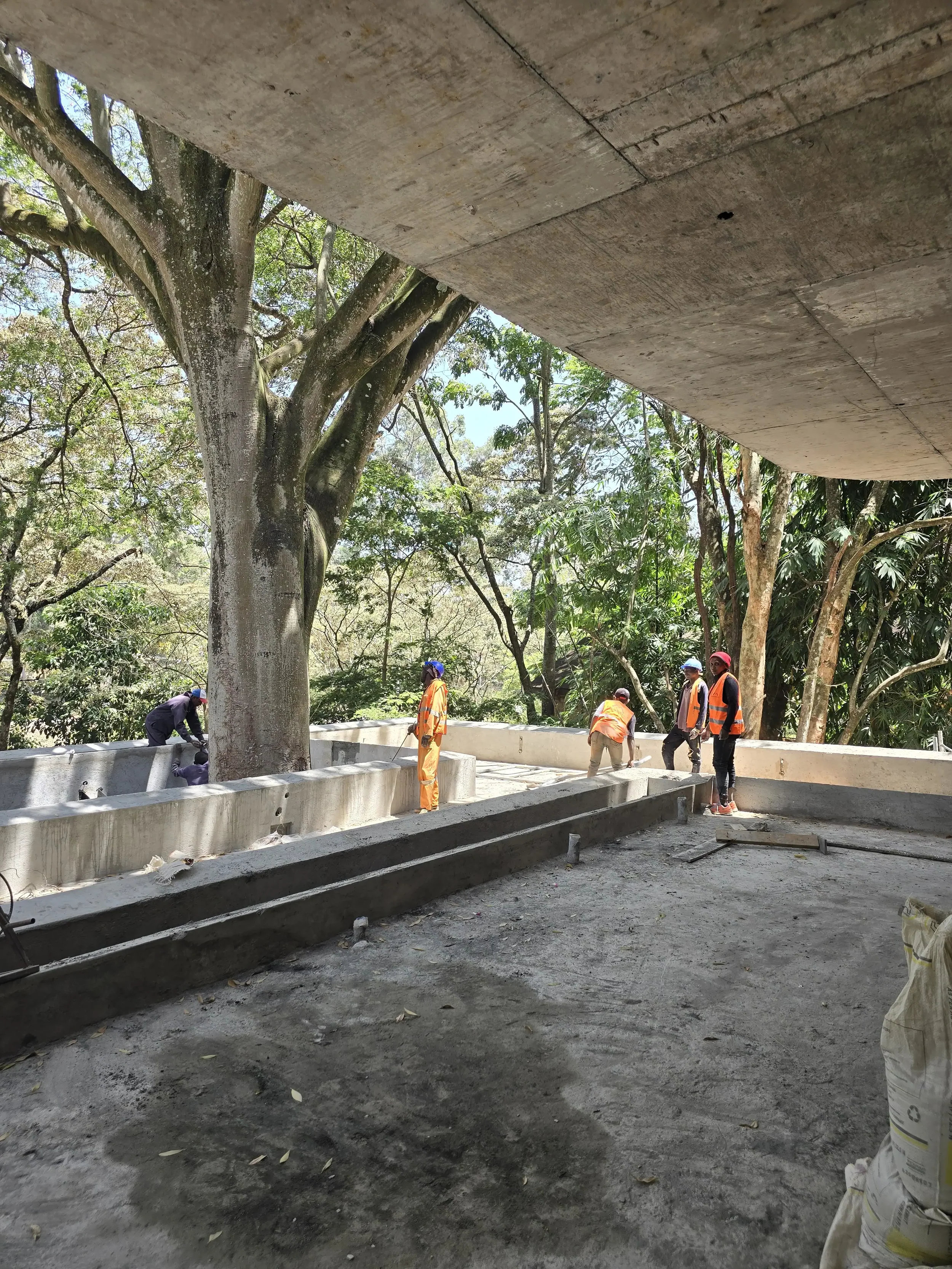 ROOF TOP GARDEN.webp