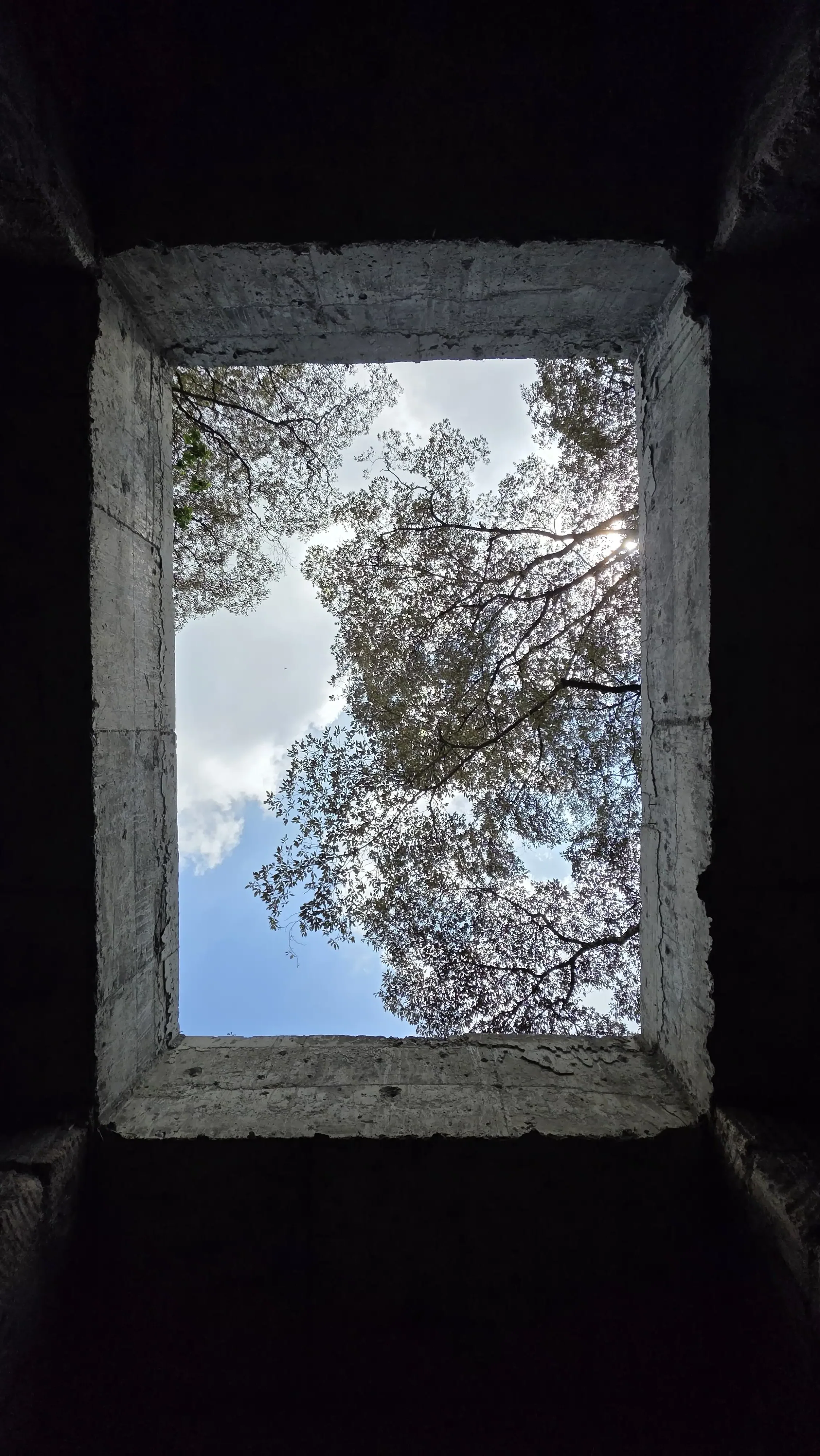 WARDROBE SKYLIGHT 01.webp