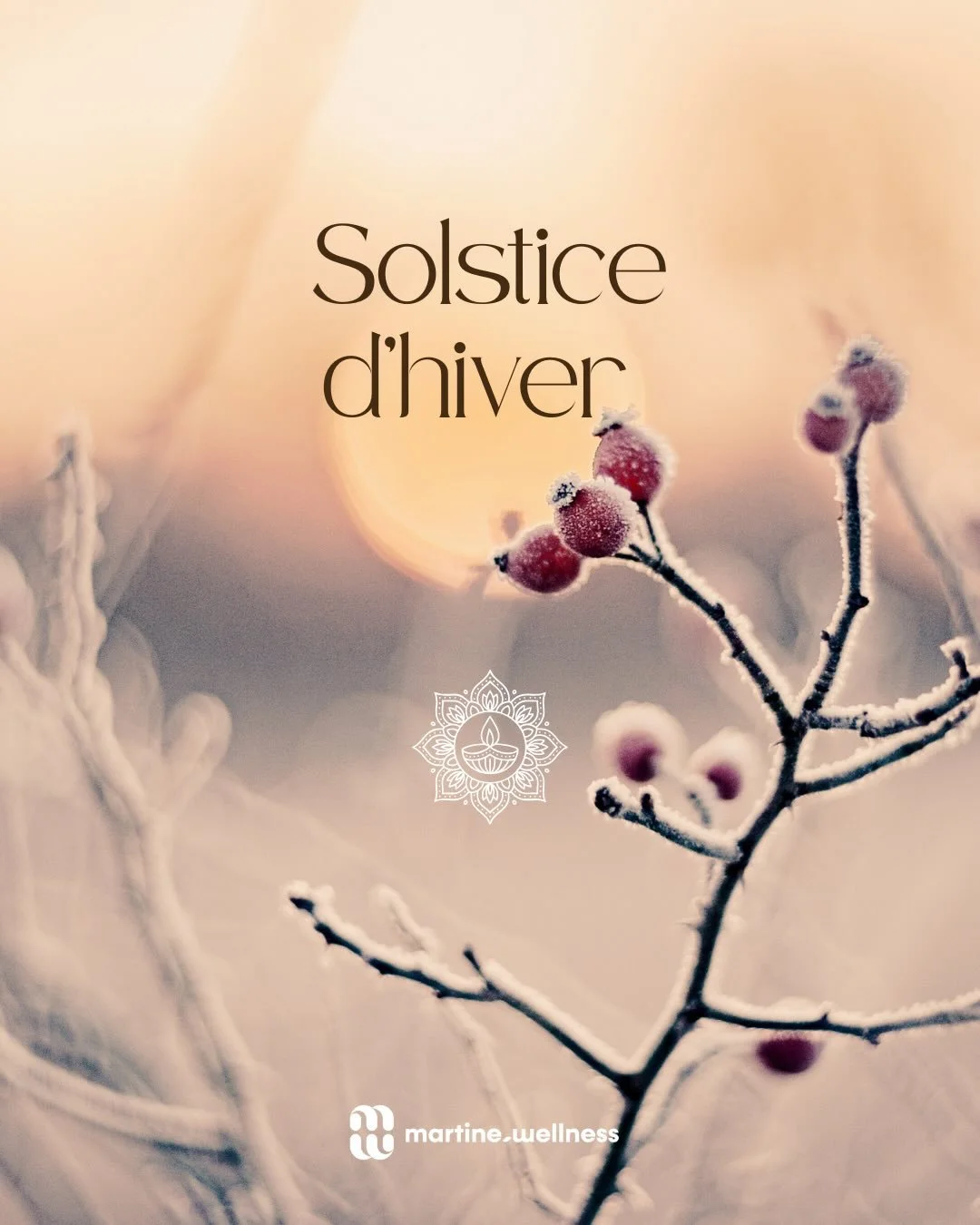 Solstice d&rsquo;hiver &ndash; 21 d&eacute;cembre 🌟

La nuit la plus longue&hellip;
et d&eacute;j&agrave; le retour de la lumi&egrave;re ✨

Le 21 d&eacute;cembre, je t&rsquo;invite &agrave; f&ecirc;ter le solstice d&rsquo;hiver, &agrave; c&eacute;l&