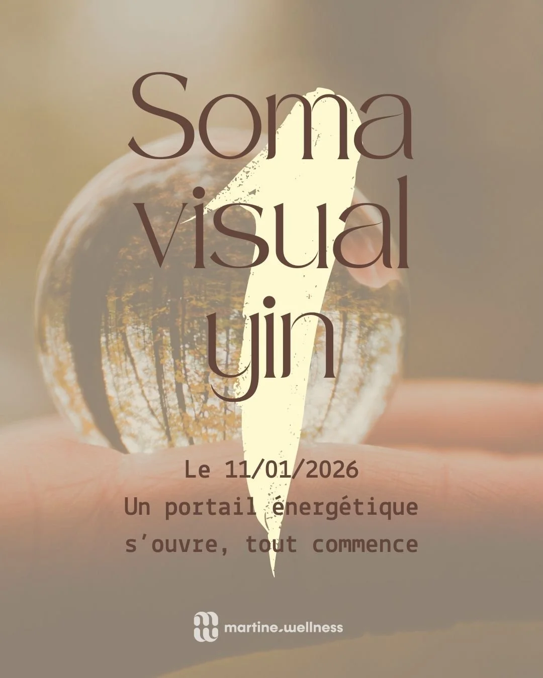 SOMA Visual YIN 🦉 