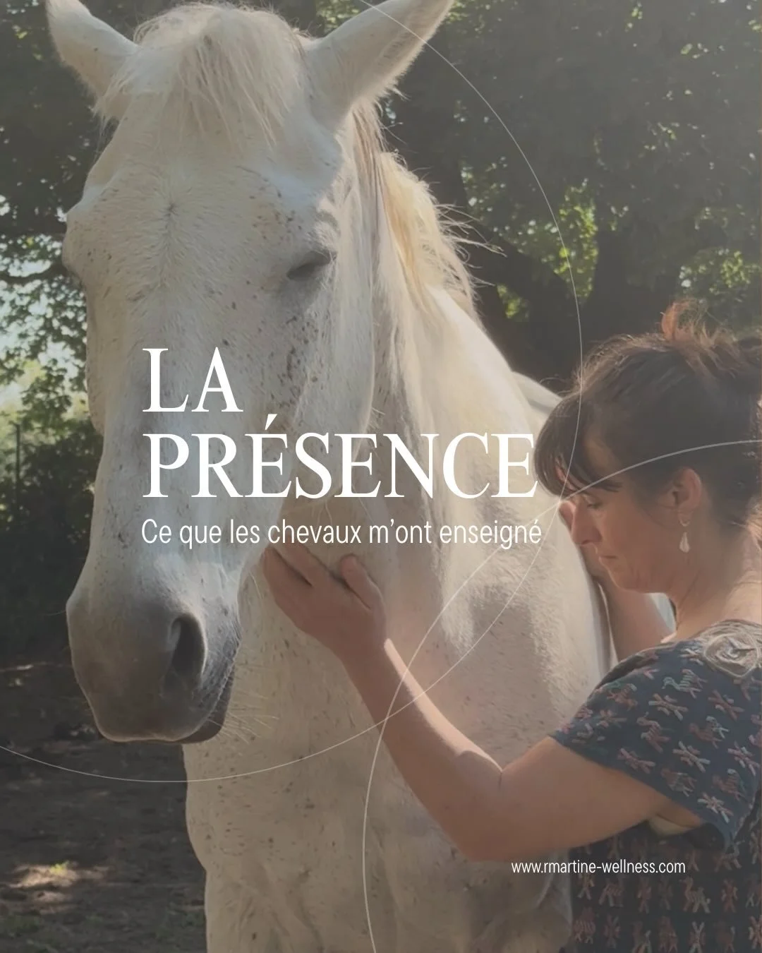 &Ecirc;TRE EN PR&Eacute;SENCE&hellip;

Il y a quelques jours, j&rsquo;ai v&eacute;cu une exp&eacute;rience profond&eacute;ment transformatrice aupr&egrave;s des chevaux.

Sans performance.
Sans attente.
Sans rien &agrave; r&eacute;ussir.

Juste &ecir