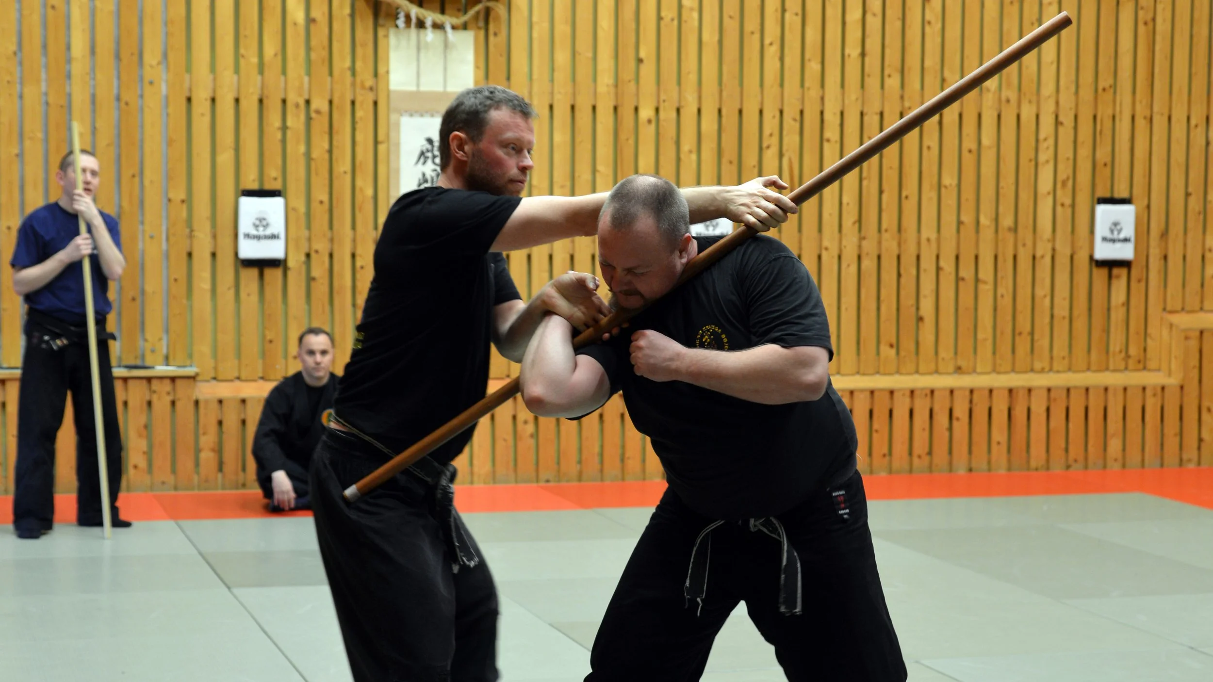 Push-Sverigelager2014-3.jpg
