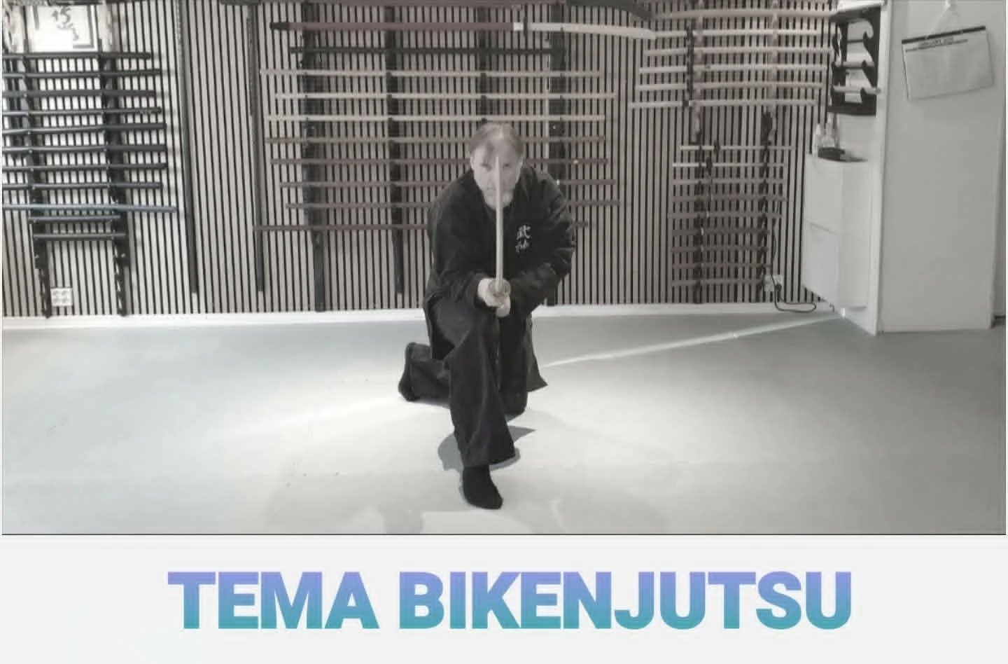 Bujinkan Mutekatsu Hyoho bjuder in till läger