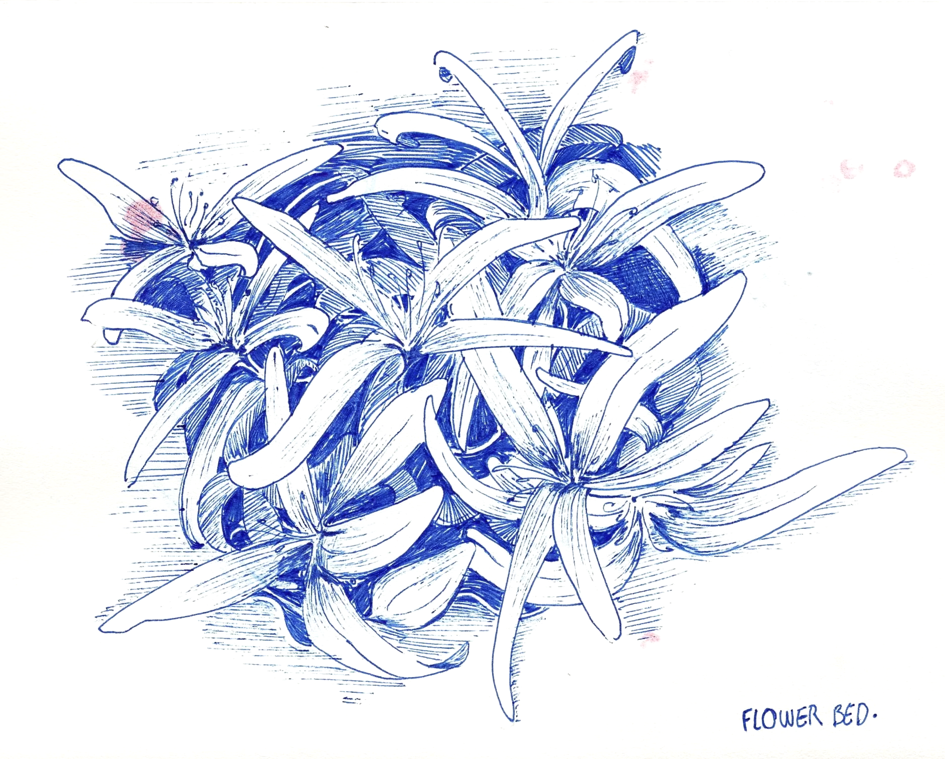 Flowerbed.png