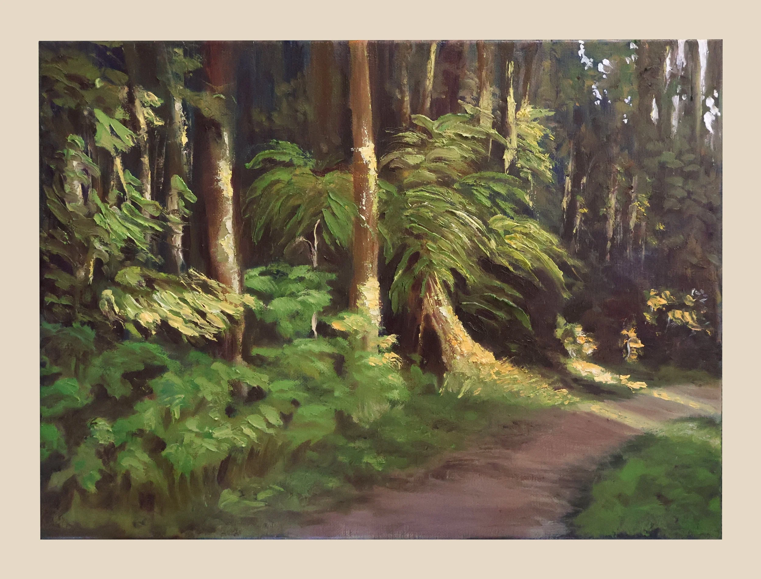 Dandenong Bark - Oil on Canvas (sold)