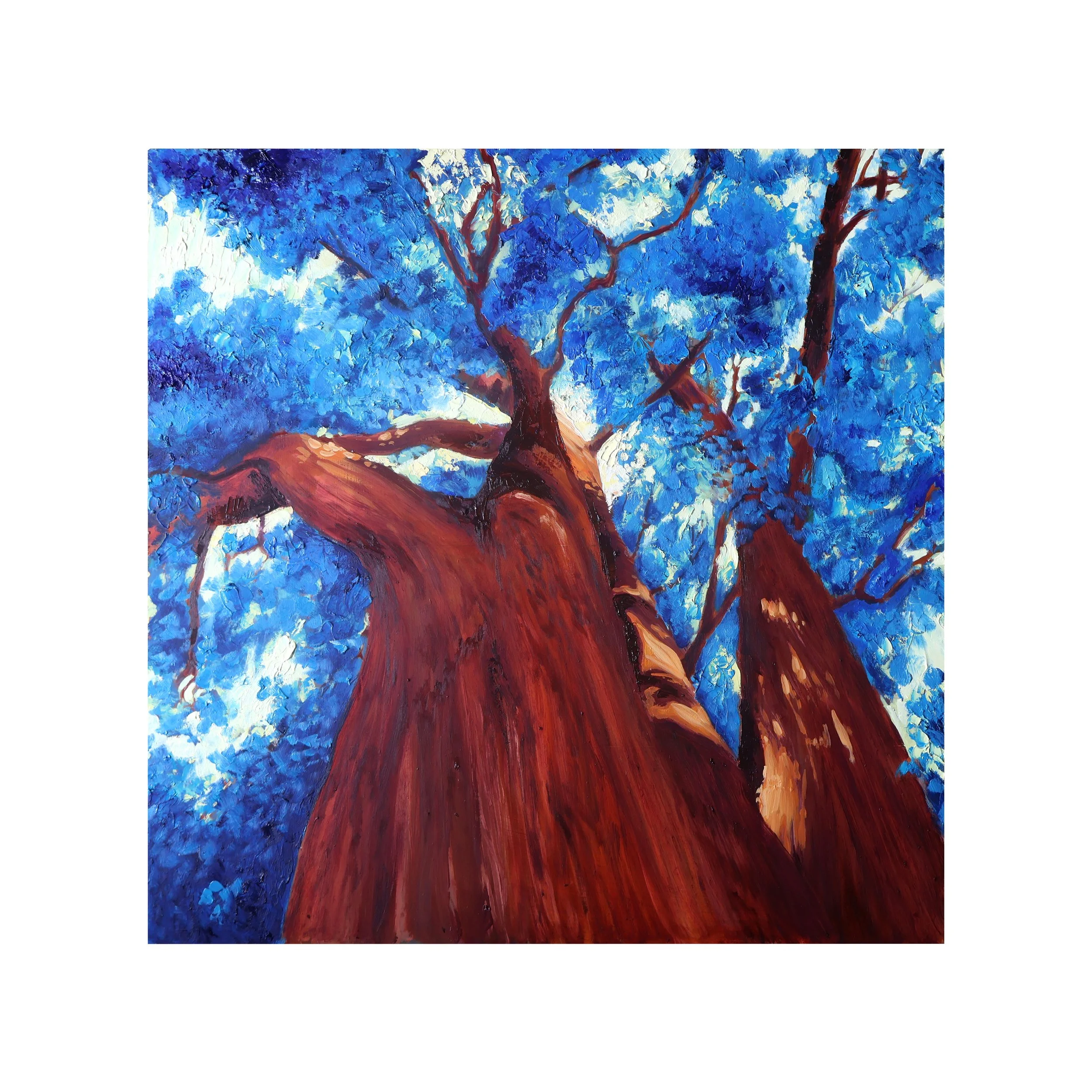 Look Up | Oil on Panel | 50cm x 50cm