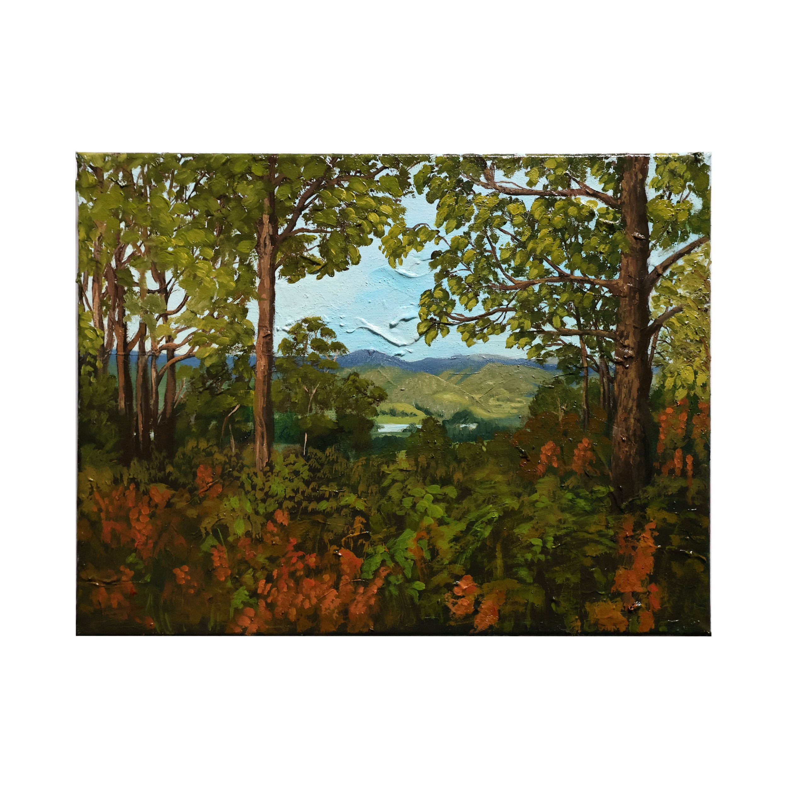 Tassie - Oil on Canvas | 40cm x 30xm (sold)