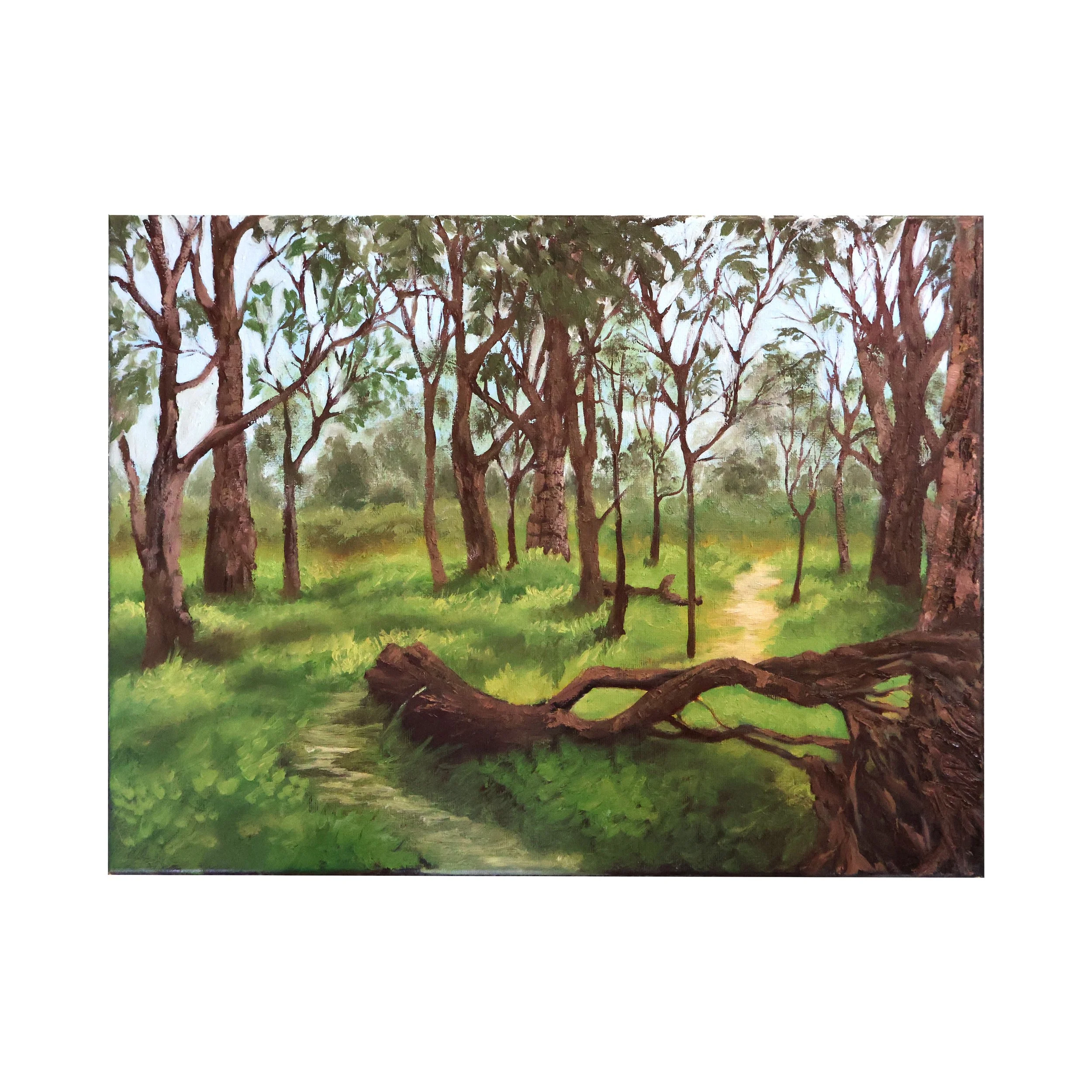 Braeside Park - Oil on Canvas | 40cm x 30cm