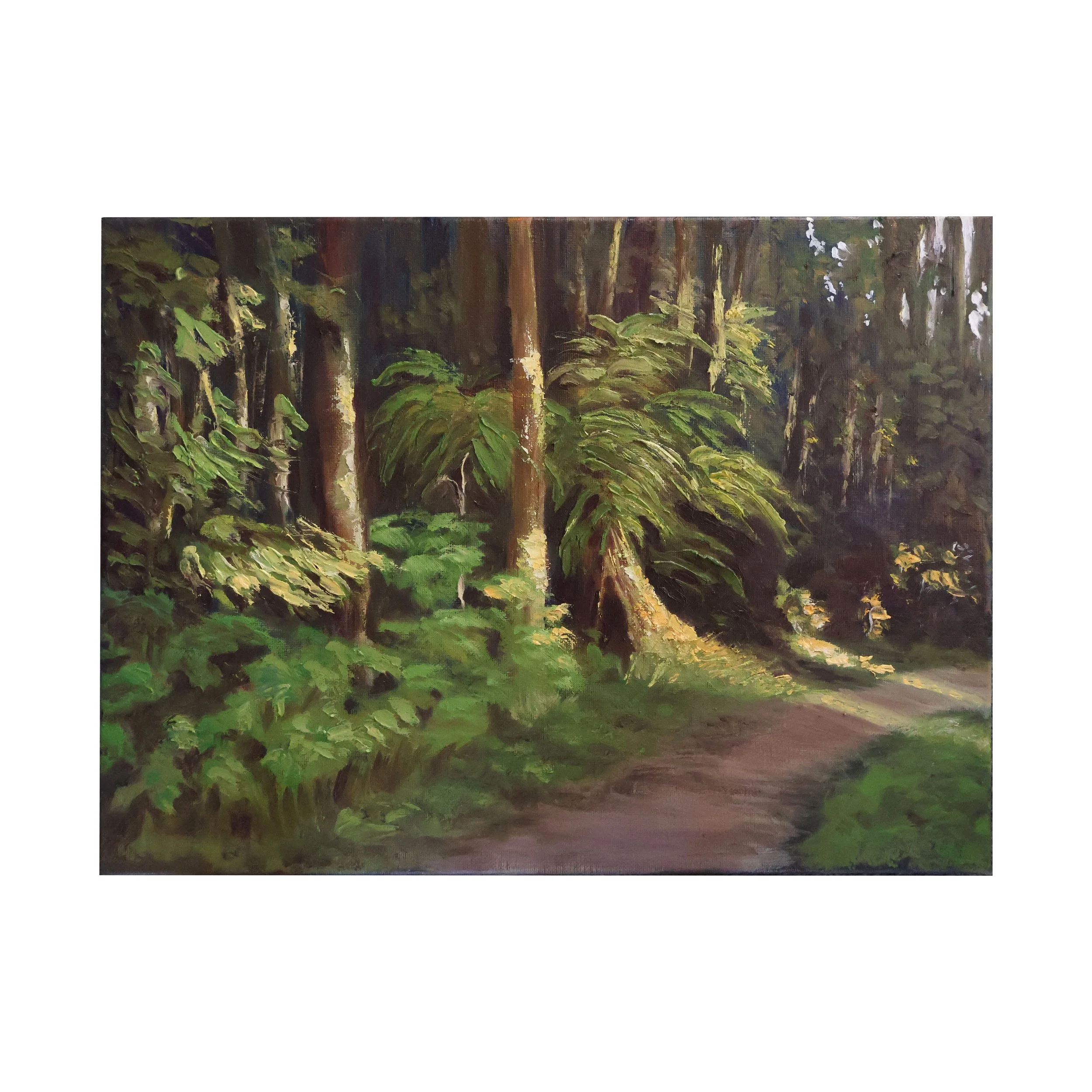 Dandenong Bark - Oil on Canvas | 40cm x 30cm (sold)