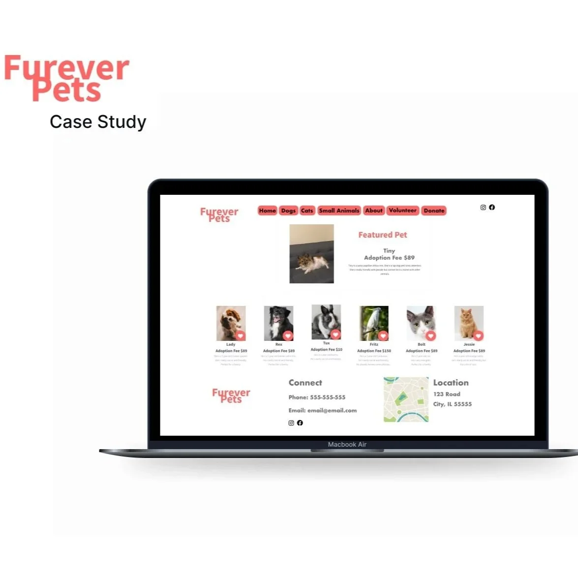 Furever Pets Case Study