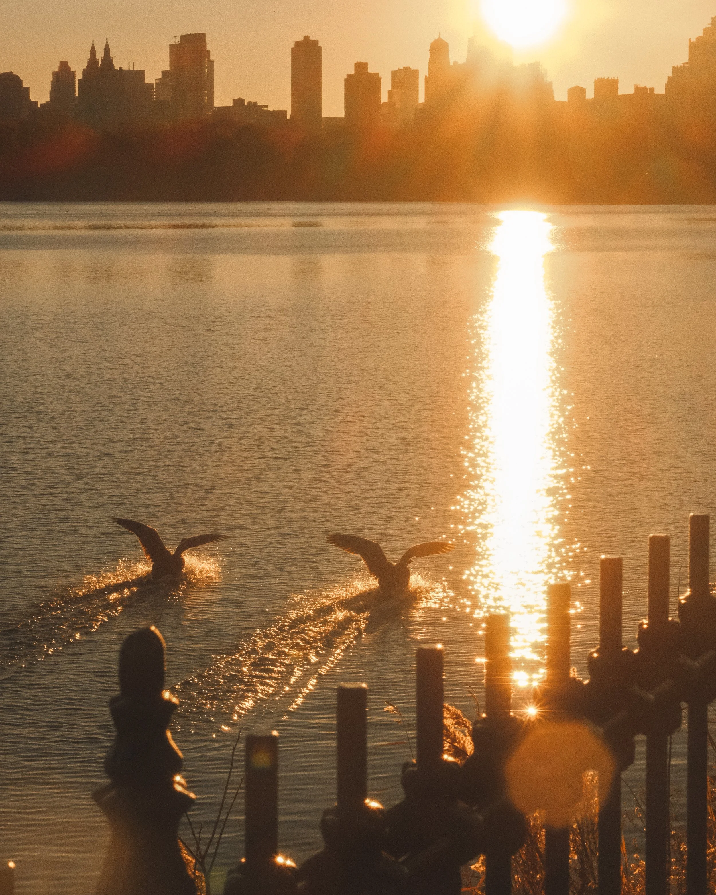 Autumn In New York 5