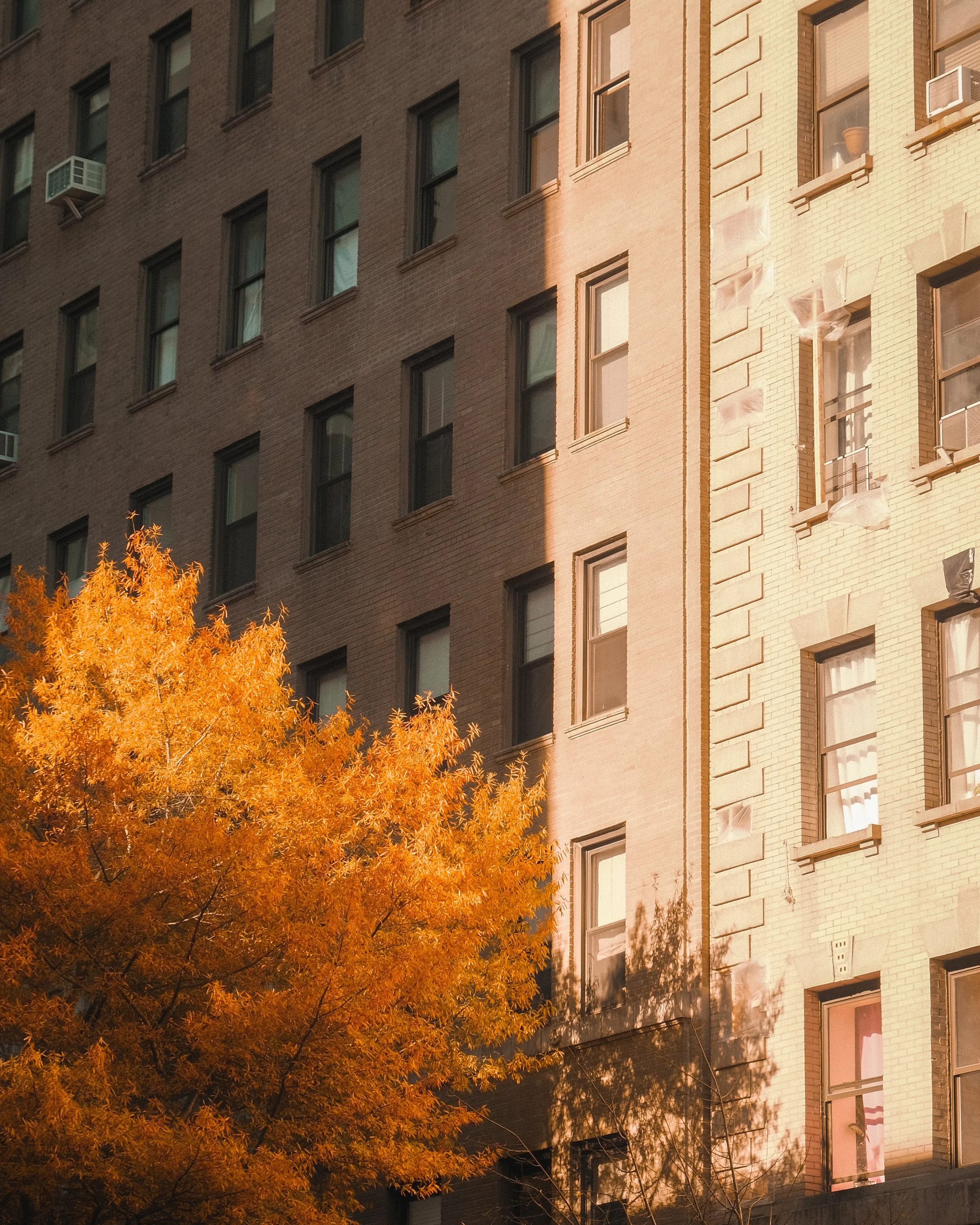 AutumnInNY-6.jpg