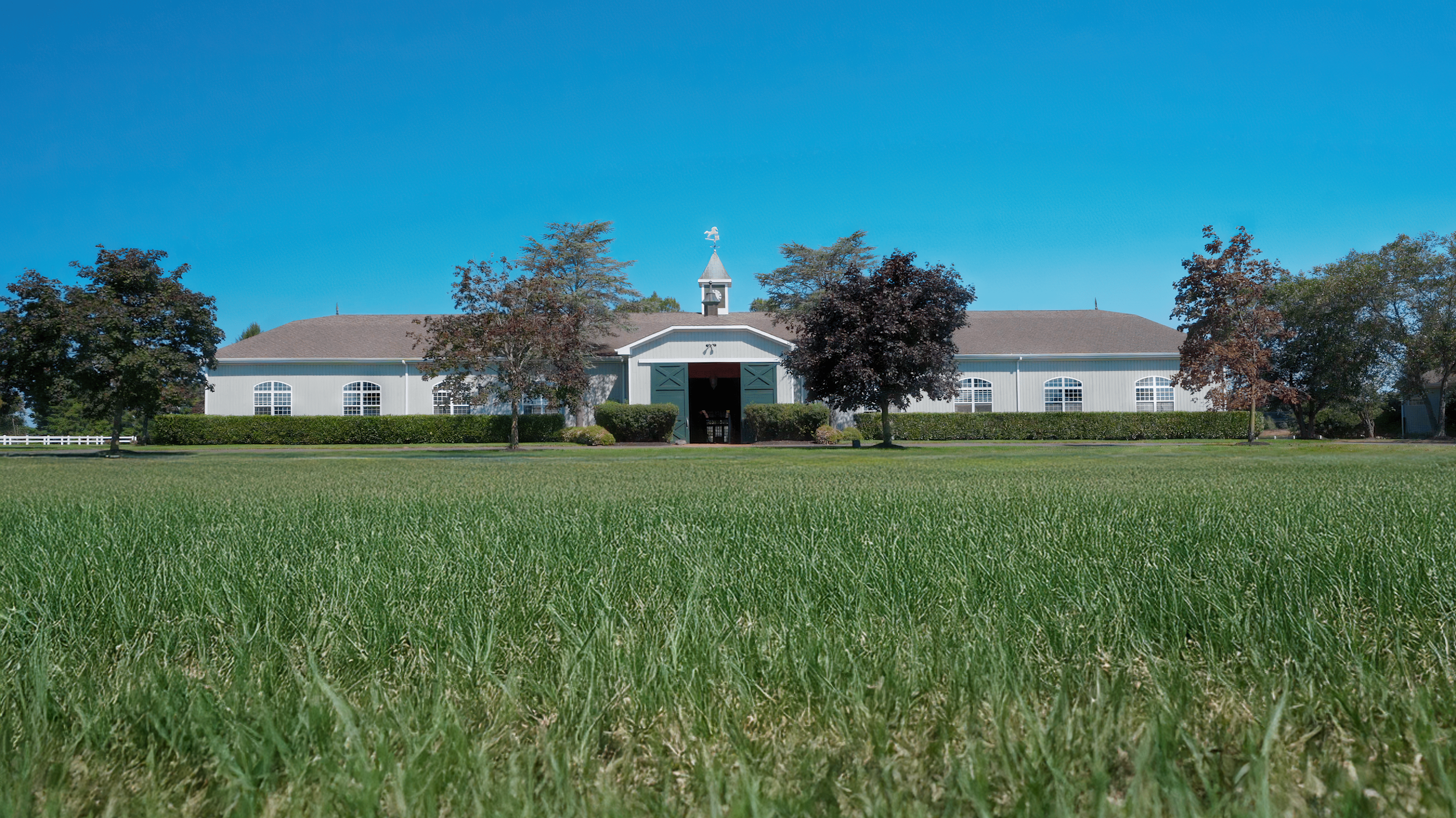 Stables | Discover Equestrian Excellence — Synergy Stables