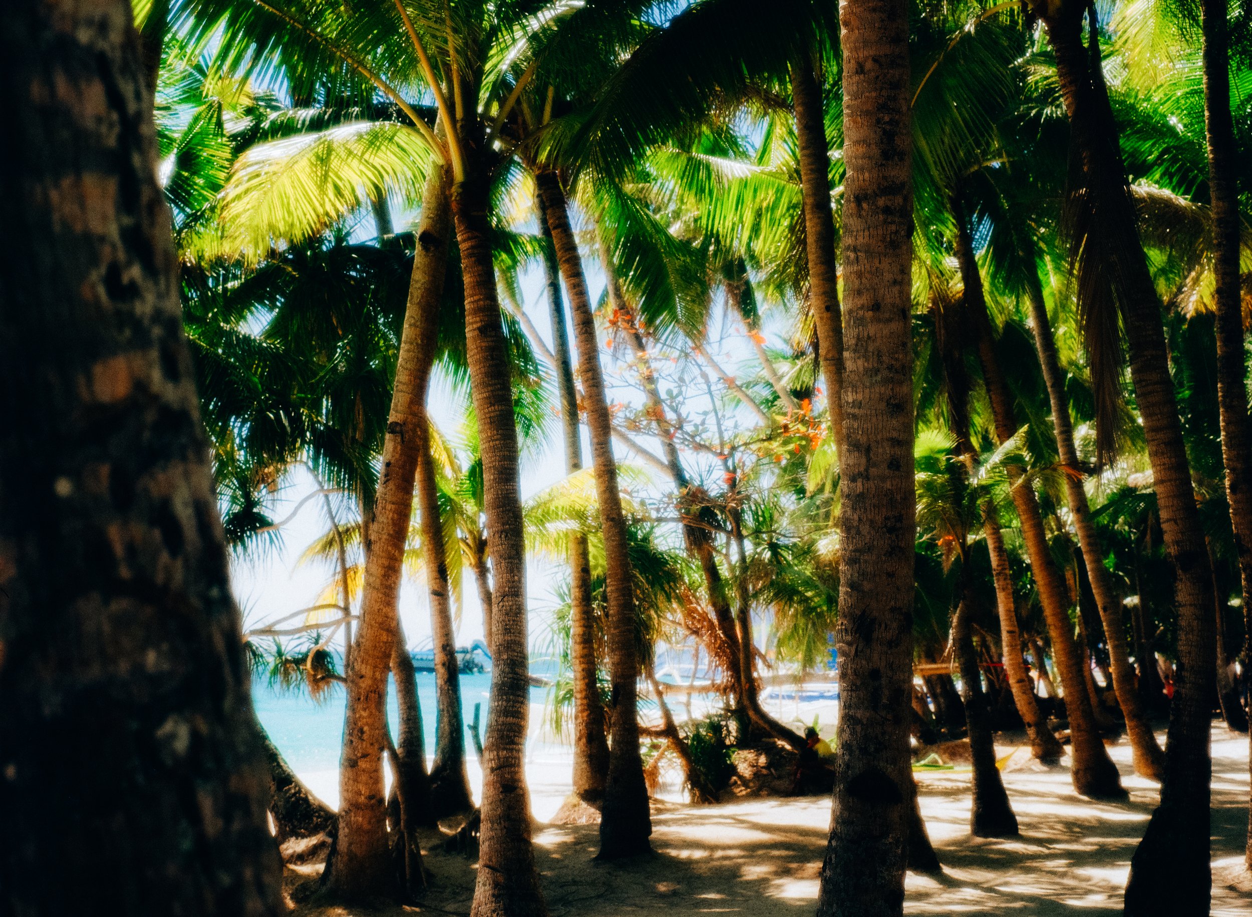 Paradise.jpg