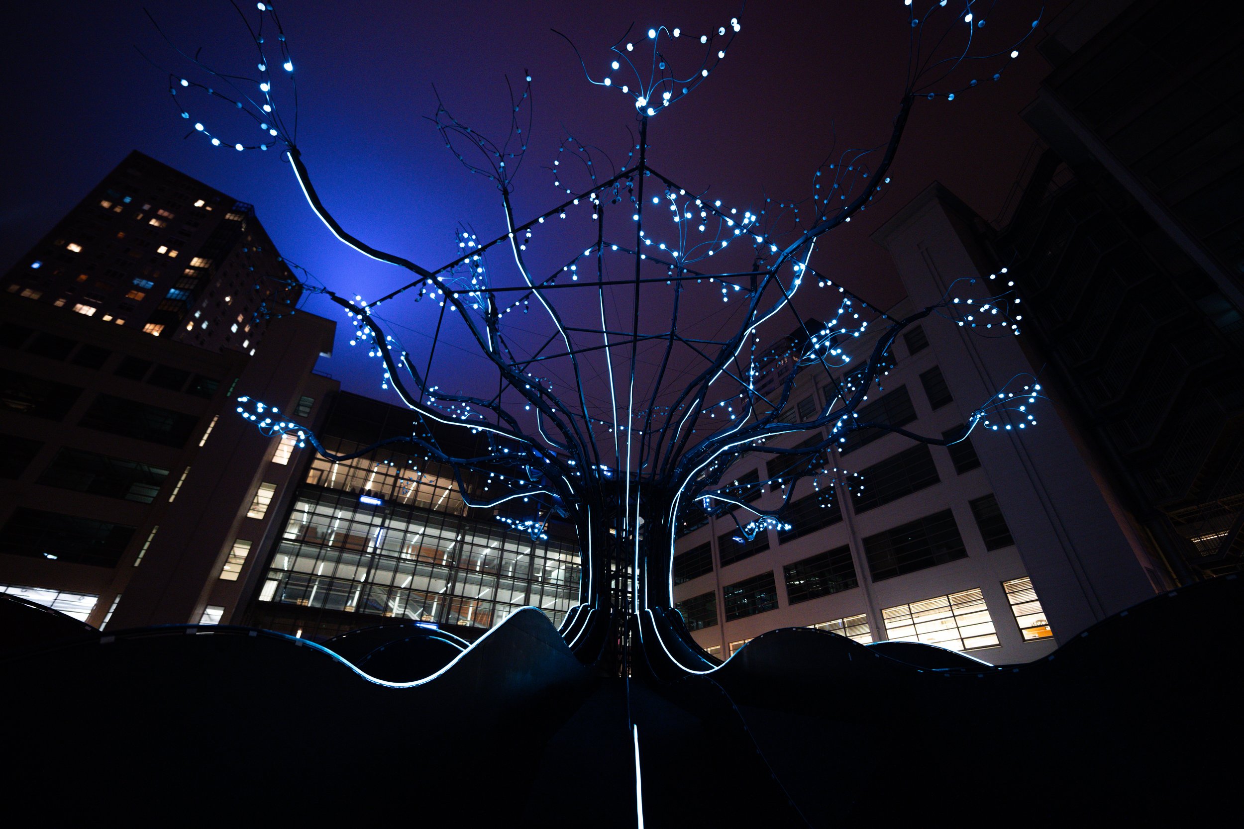 ASML Glow