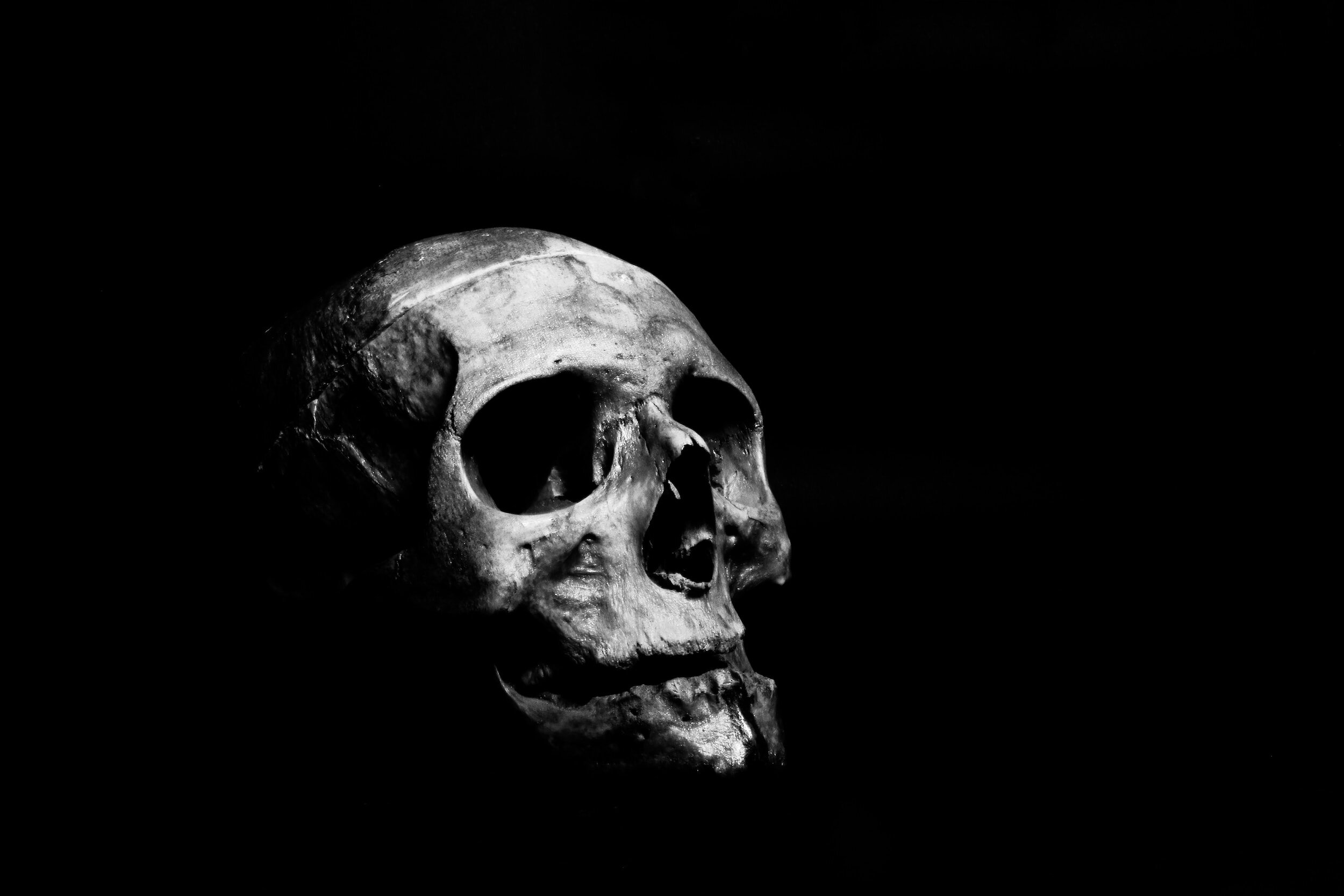 August 23, 2019: Death & Rebirth