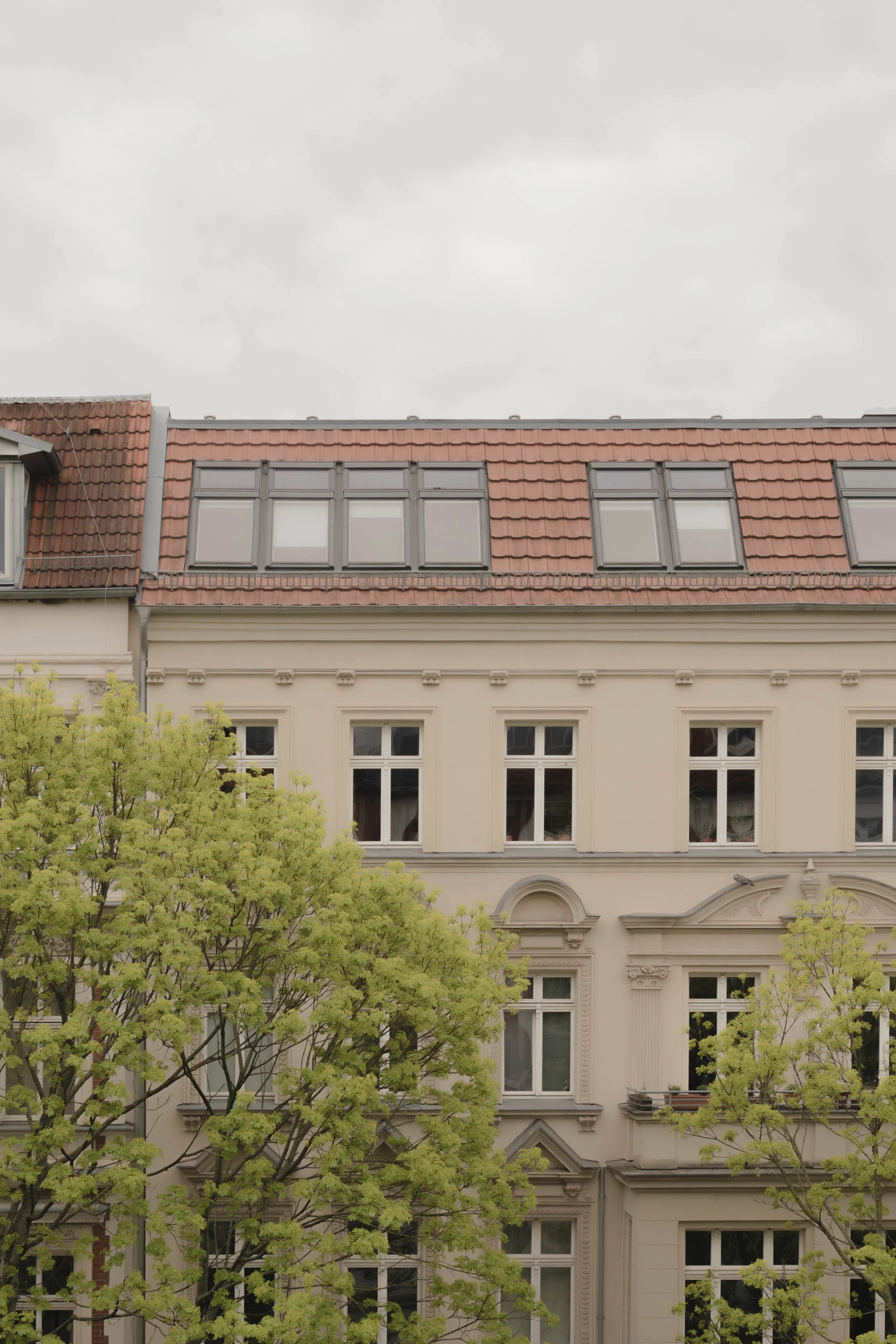L1180344.jpg