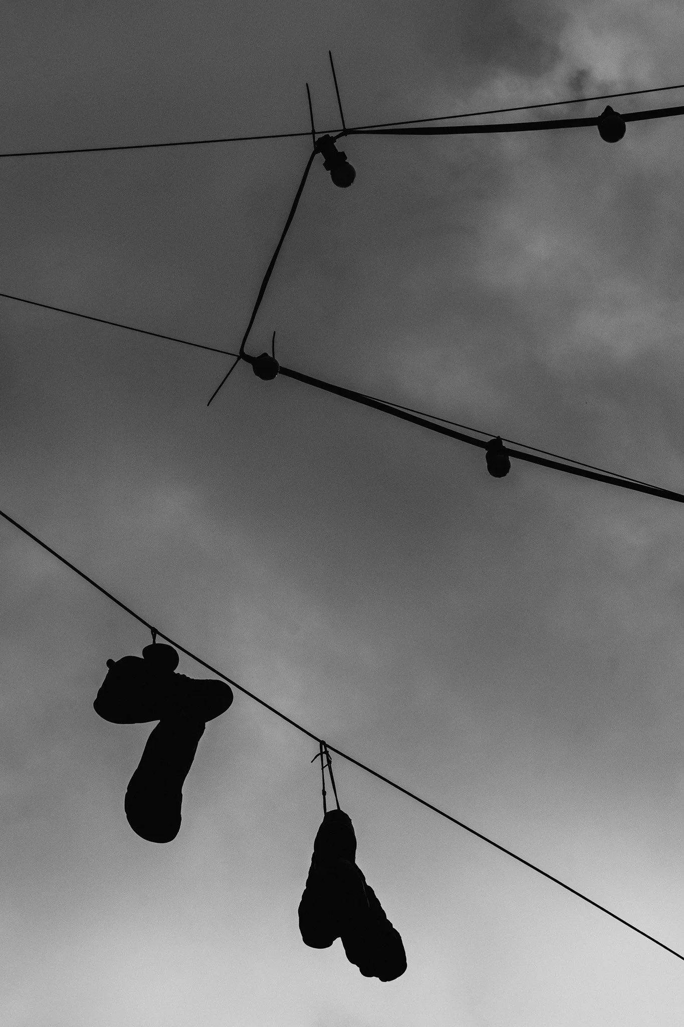 P1070851.jpg