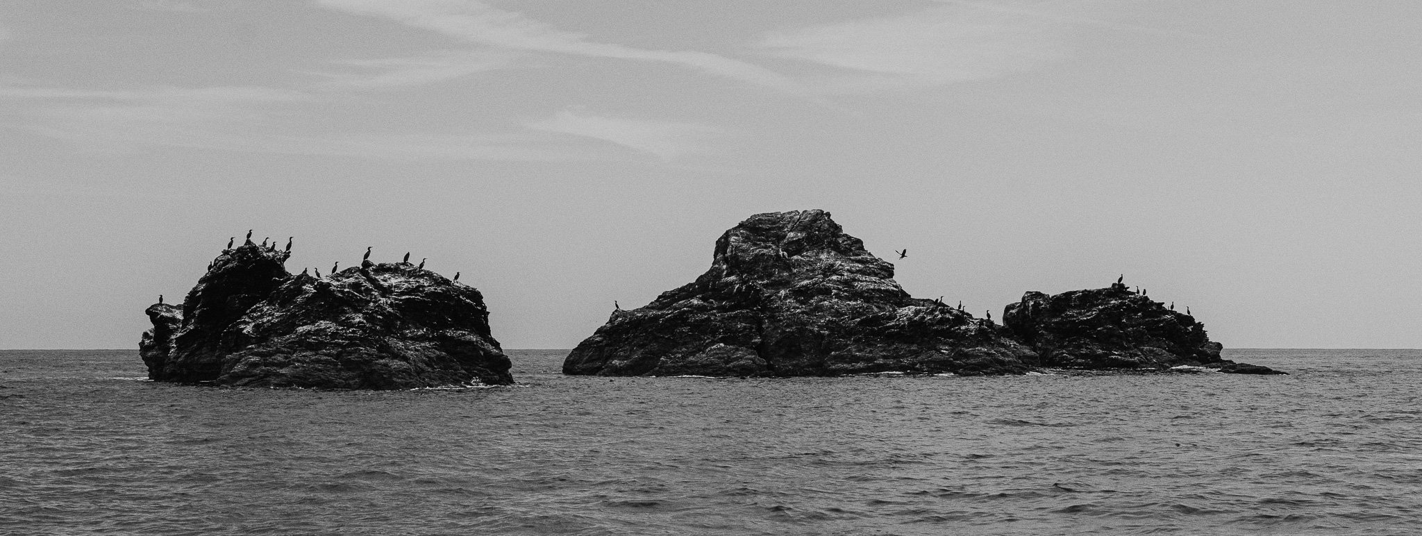 P1084561.jpg
