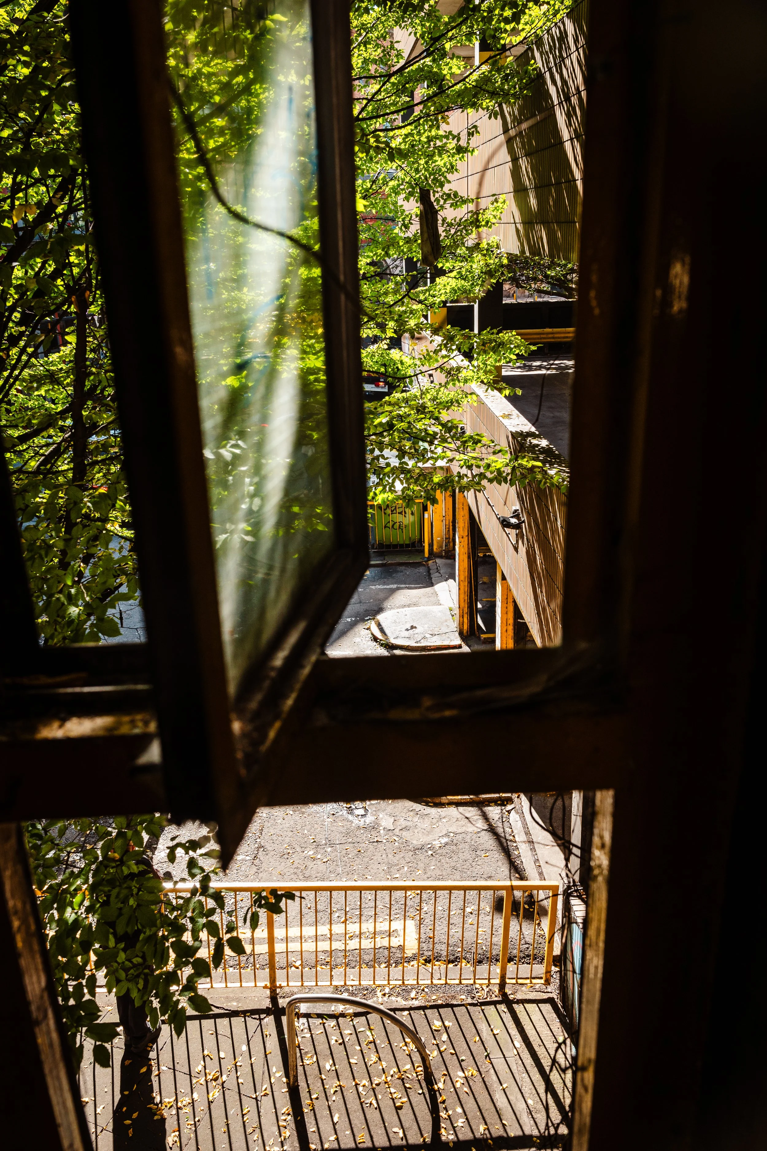 P1085450.jpg
