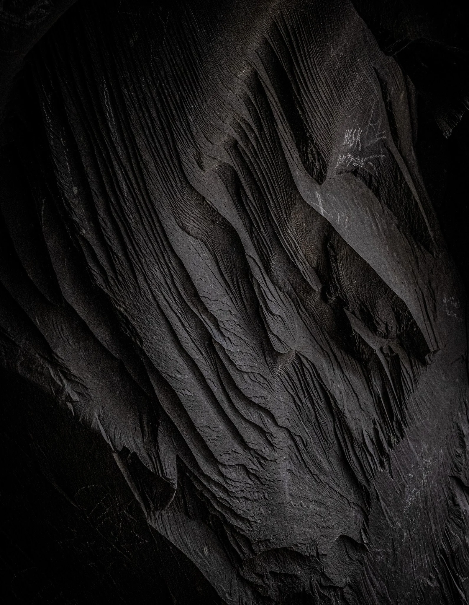 P1059947.jpg