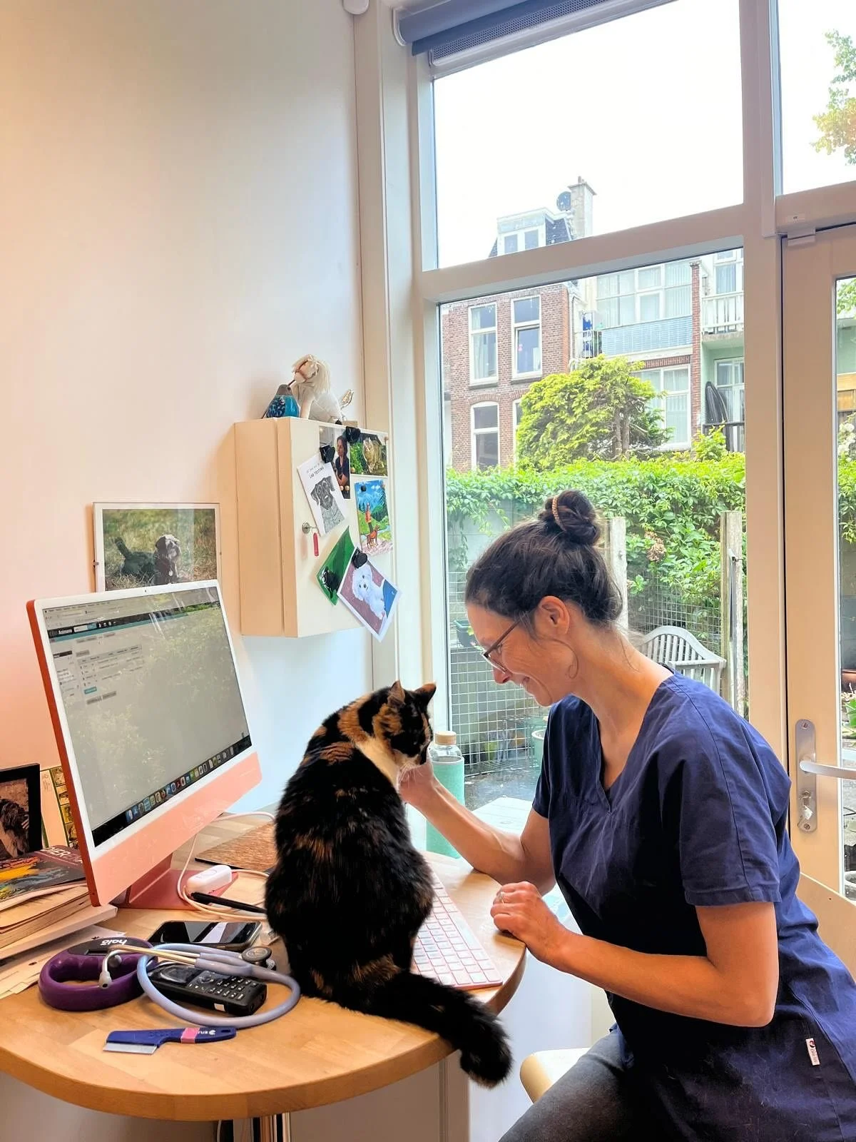 Een tijdje geleden kwamen Nalin, Huko en Tufa voor hun jaarlijkse vaccinatie. 
Nalin was een beetje camerashy, de andere 2 staan er, net als Floor, beeldig op 💉🐱