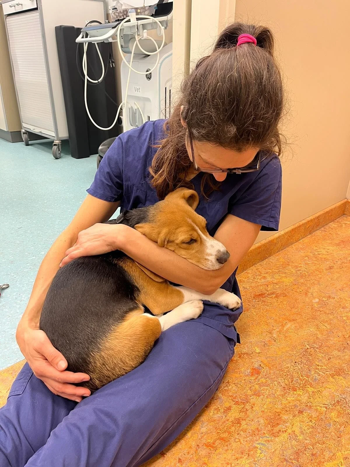 Lieve Flip kwam bij ons voor een operatie.
Hij is knuffelend in slaap gevallen bij Floor op schoot en ook daar weer fijn wakker geworden ❤️💤